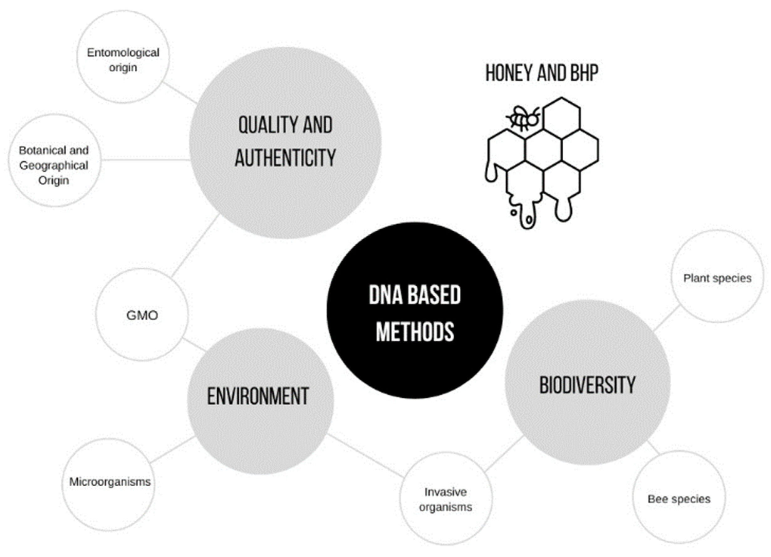 Molecules 28 02106 g001