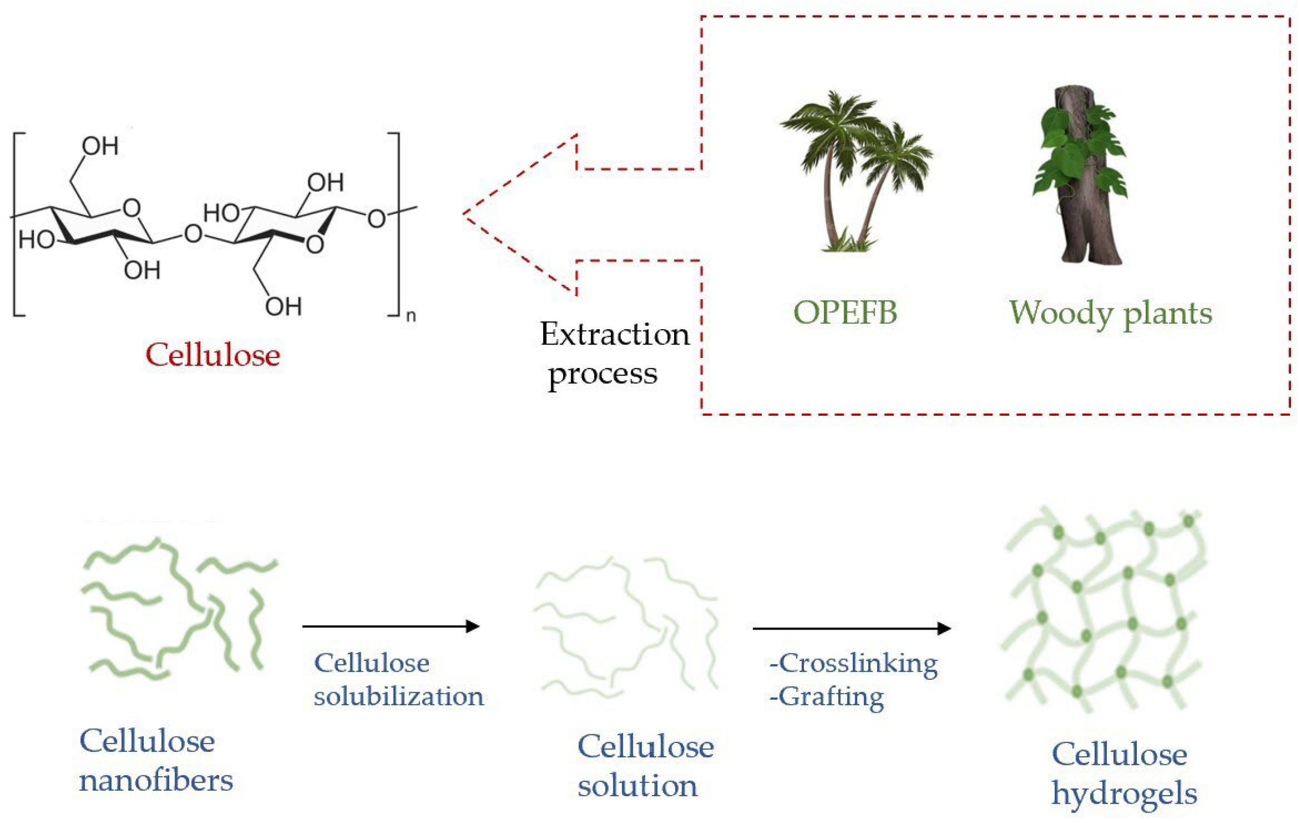 Molecules 28 02107 g004