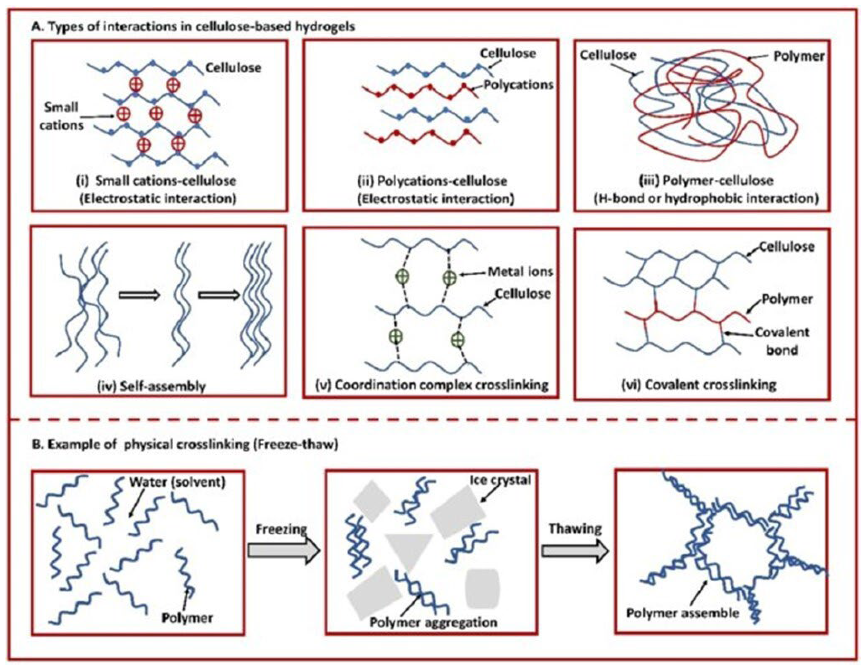 Molecules 28 02107 g005