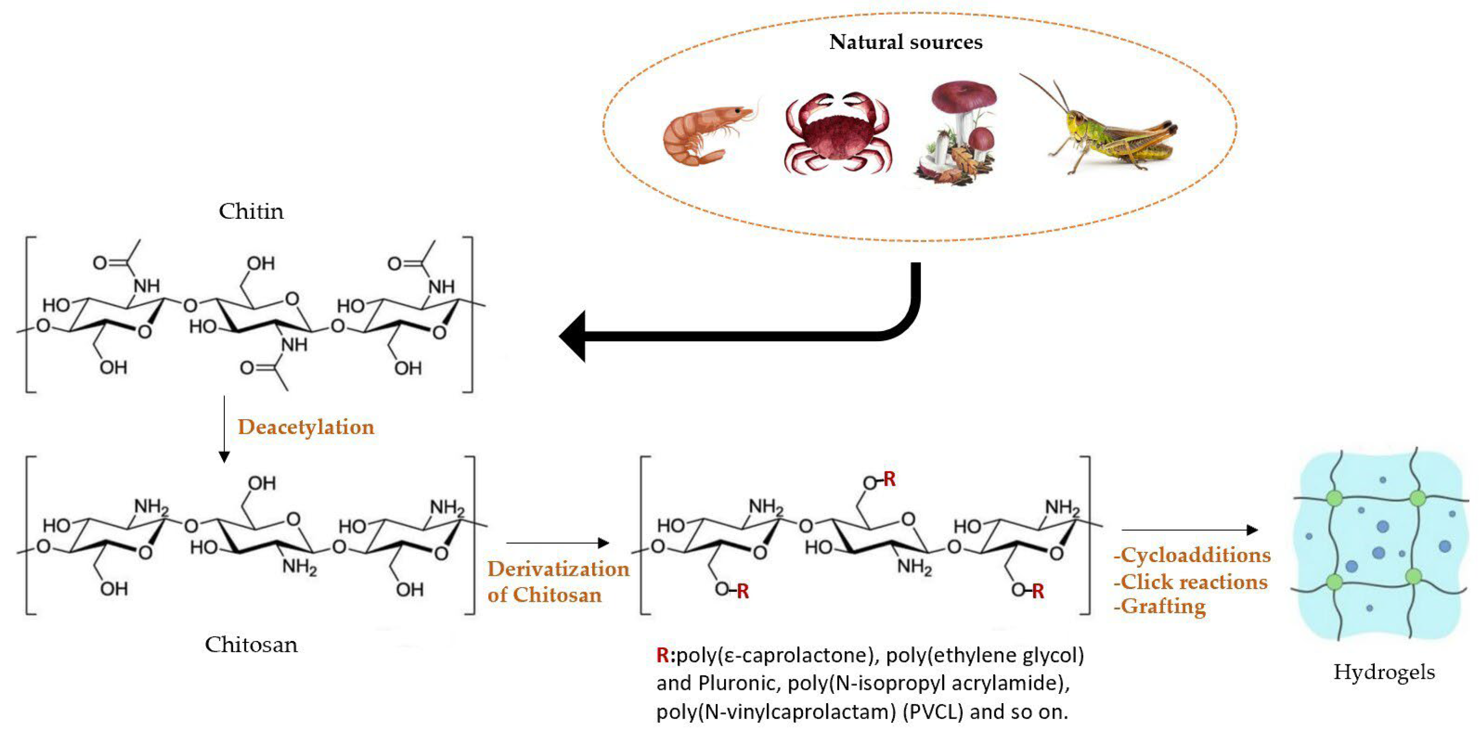 Molecules 28 02107 g006