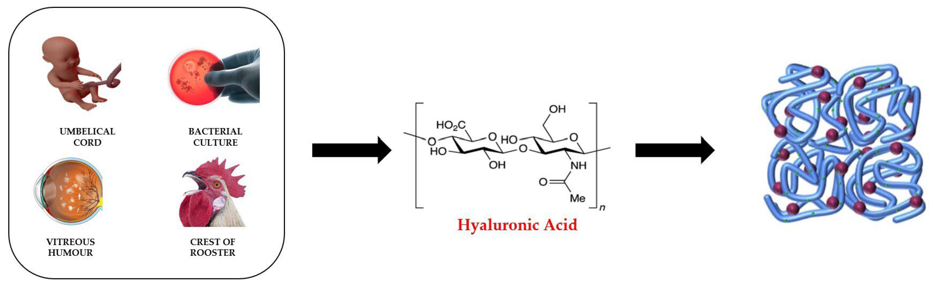 Molecules 28 02107 g007