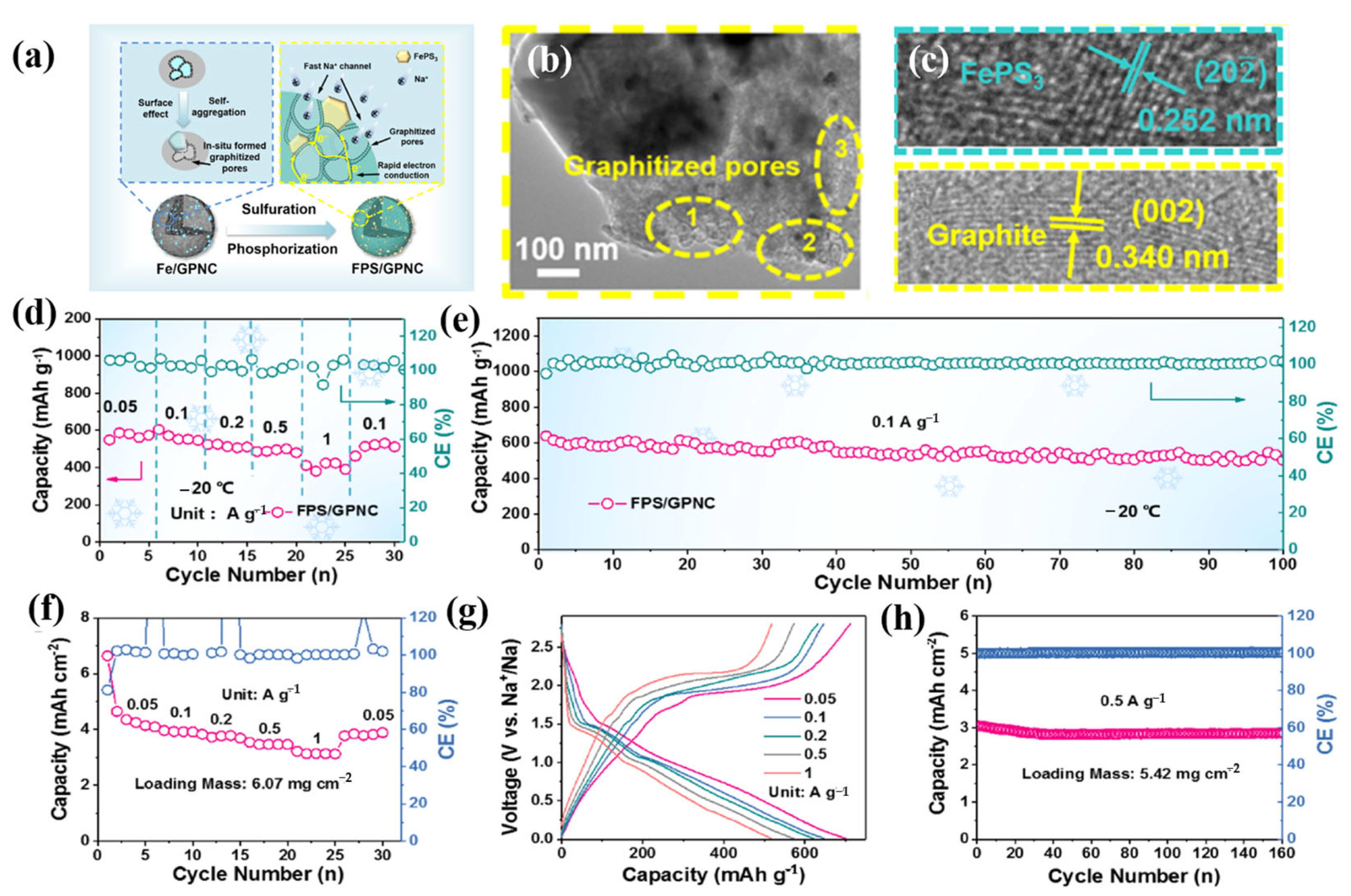 Molecules 28 02108 g006
