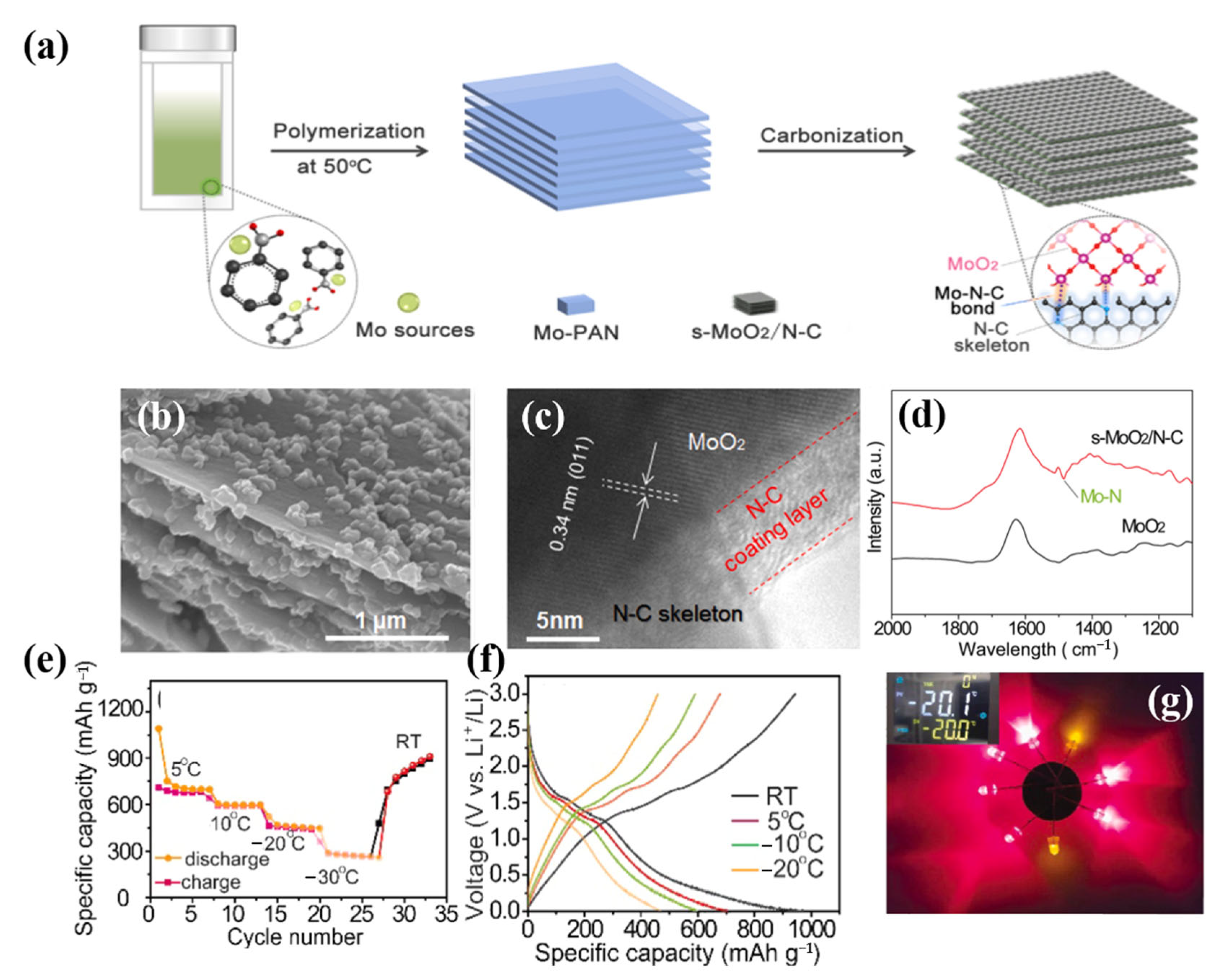 Molecules 28 02108 g008