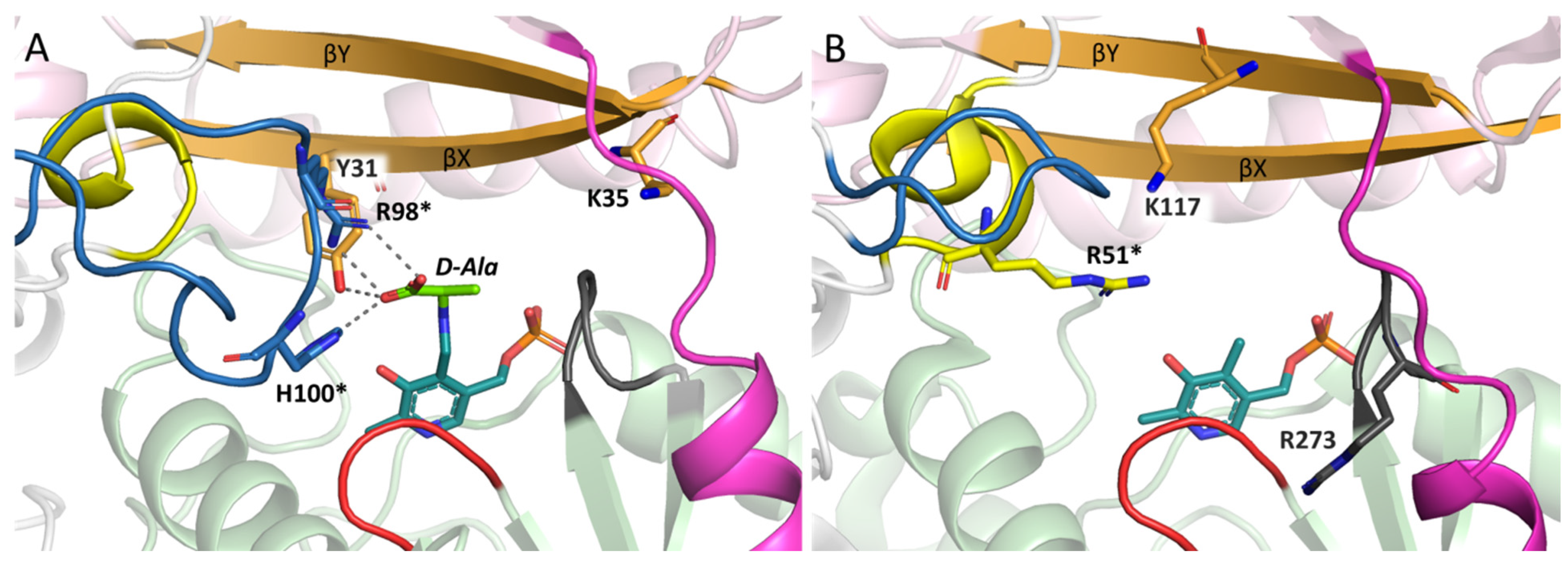 Molecules 28 02109 g001 Molecules 28 02109 g001