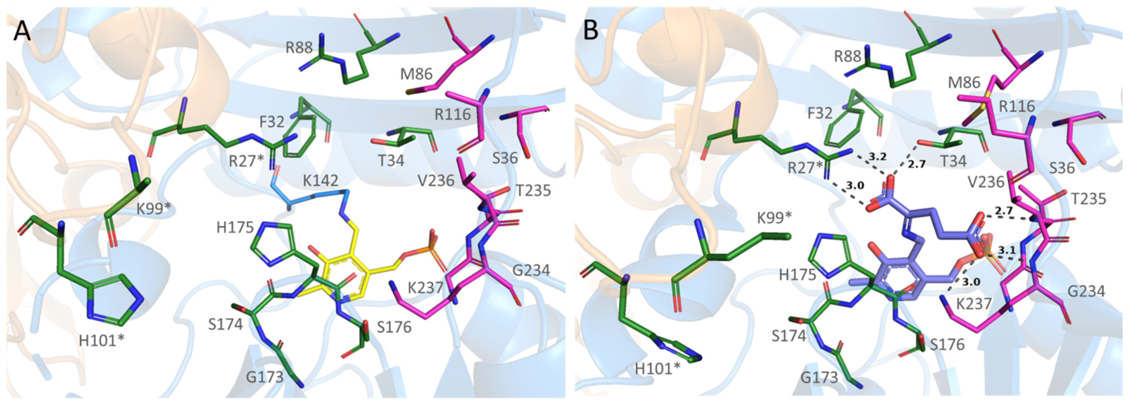 Molecules 28 02109 g004 Molecules 28 02109 g004