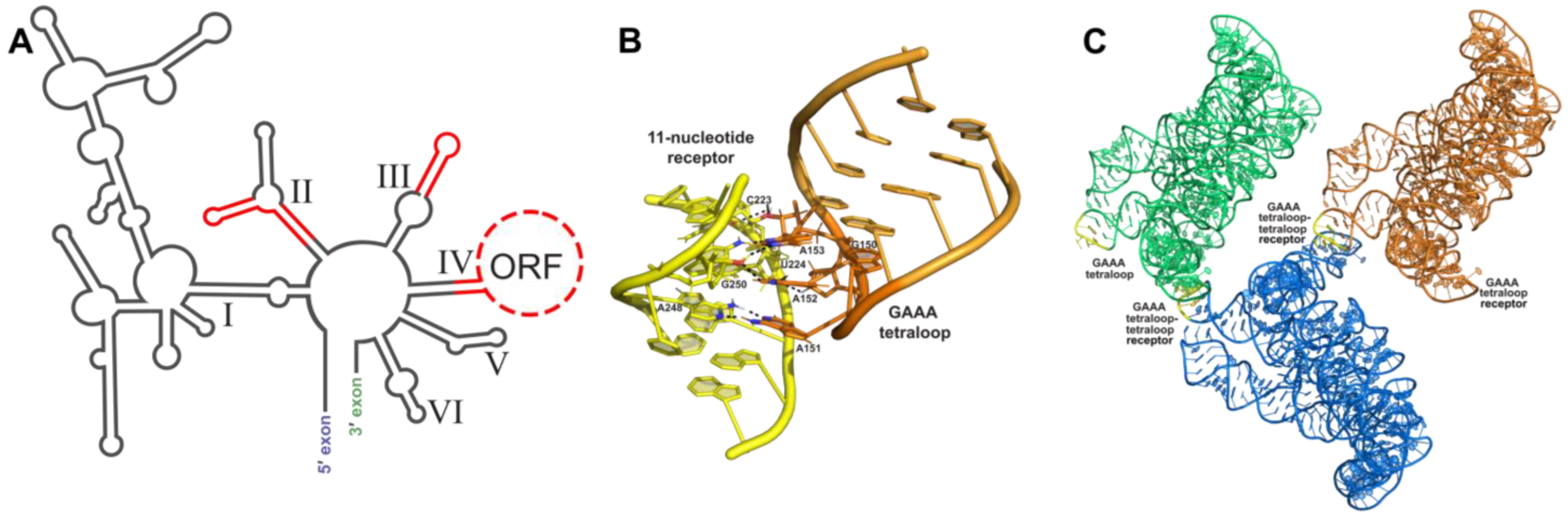 Molecules 28 02111 g002 Molecules 28 02111 g002