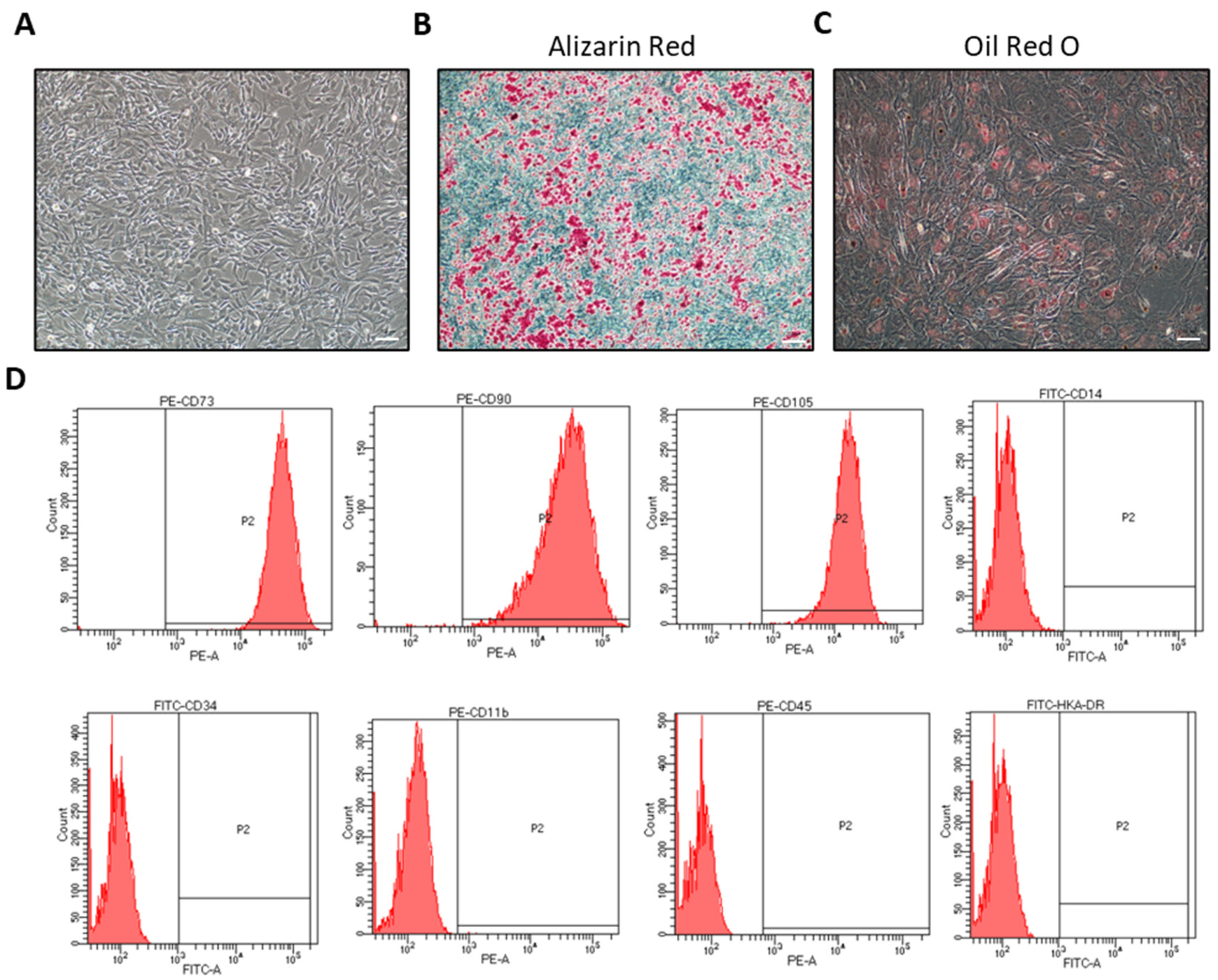 Molecules 28 02112 g001 Molecules 28 02112 g001