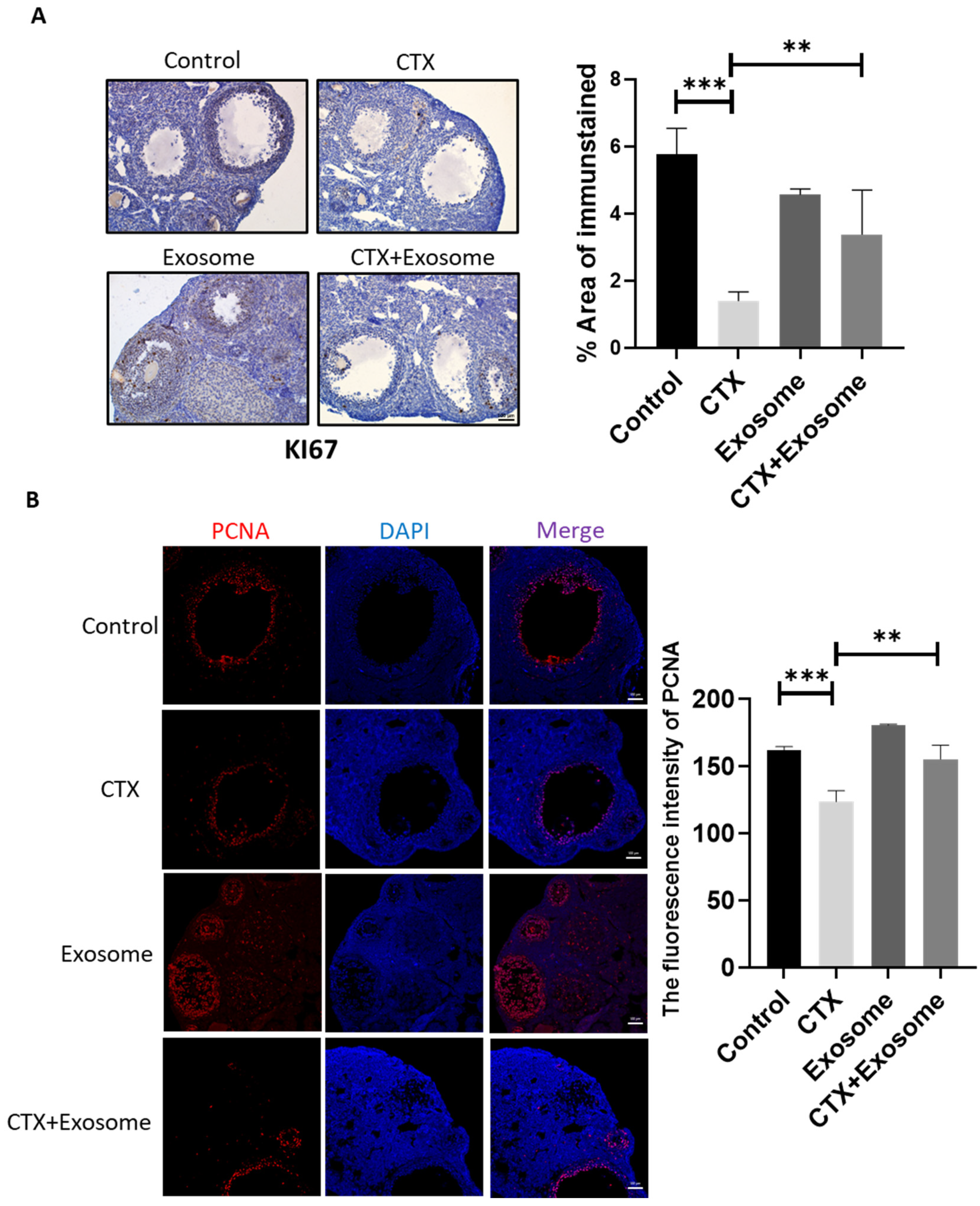 Molecules 28 02112 g006 Molecules 28 02112 g006