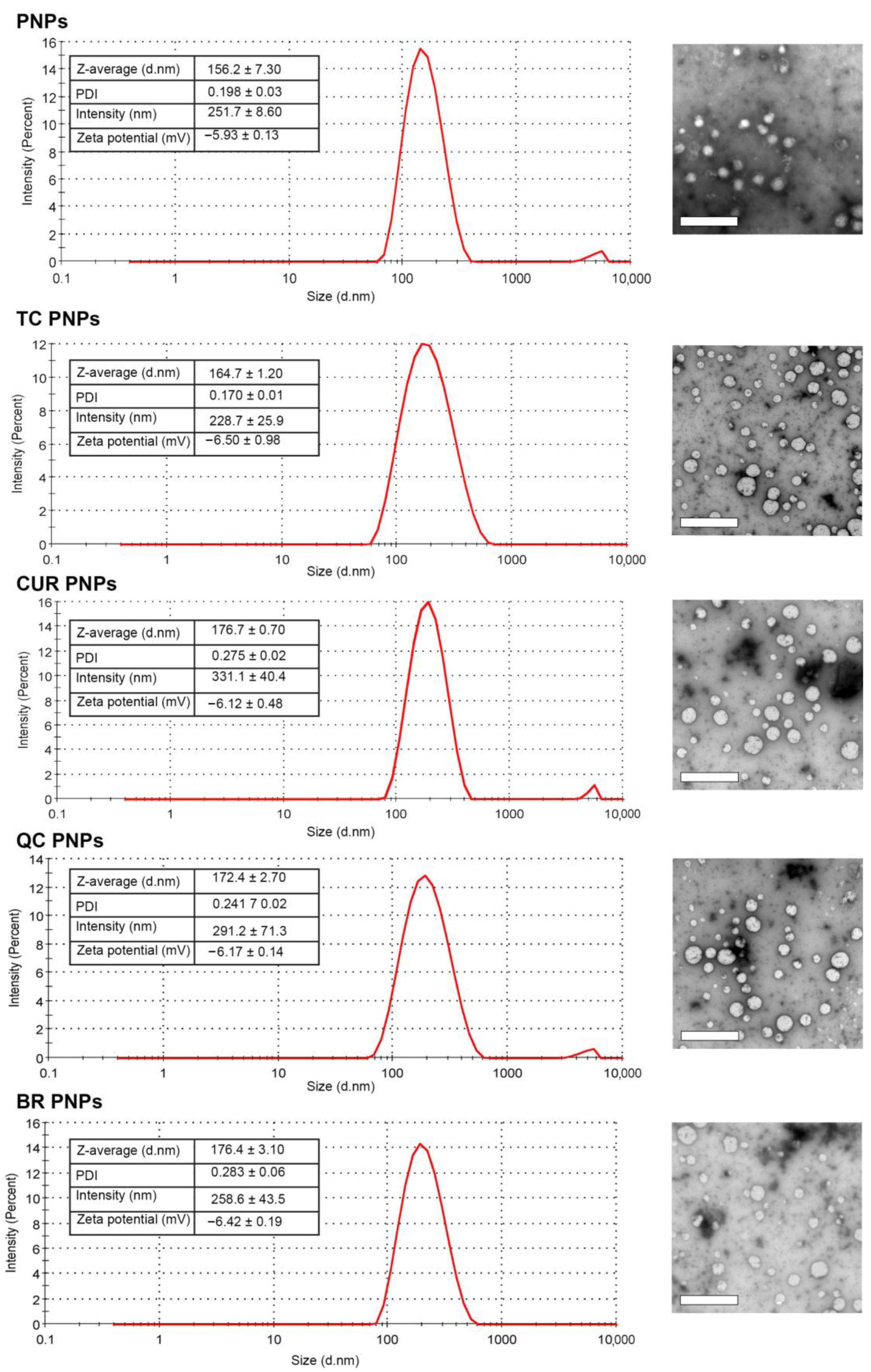 Molecules 28 02114 g002 Molecules 28 02114 g002