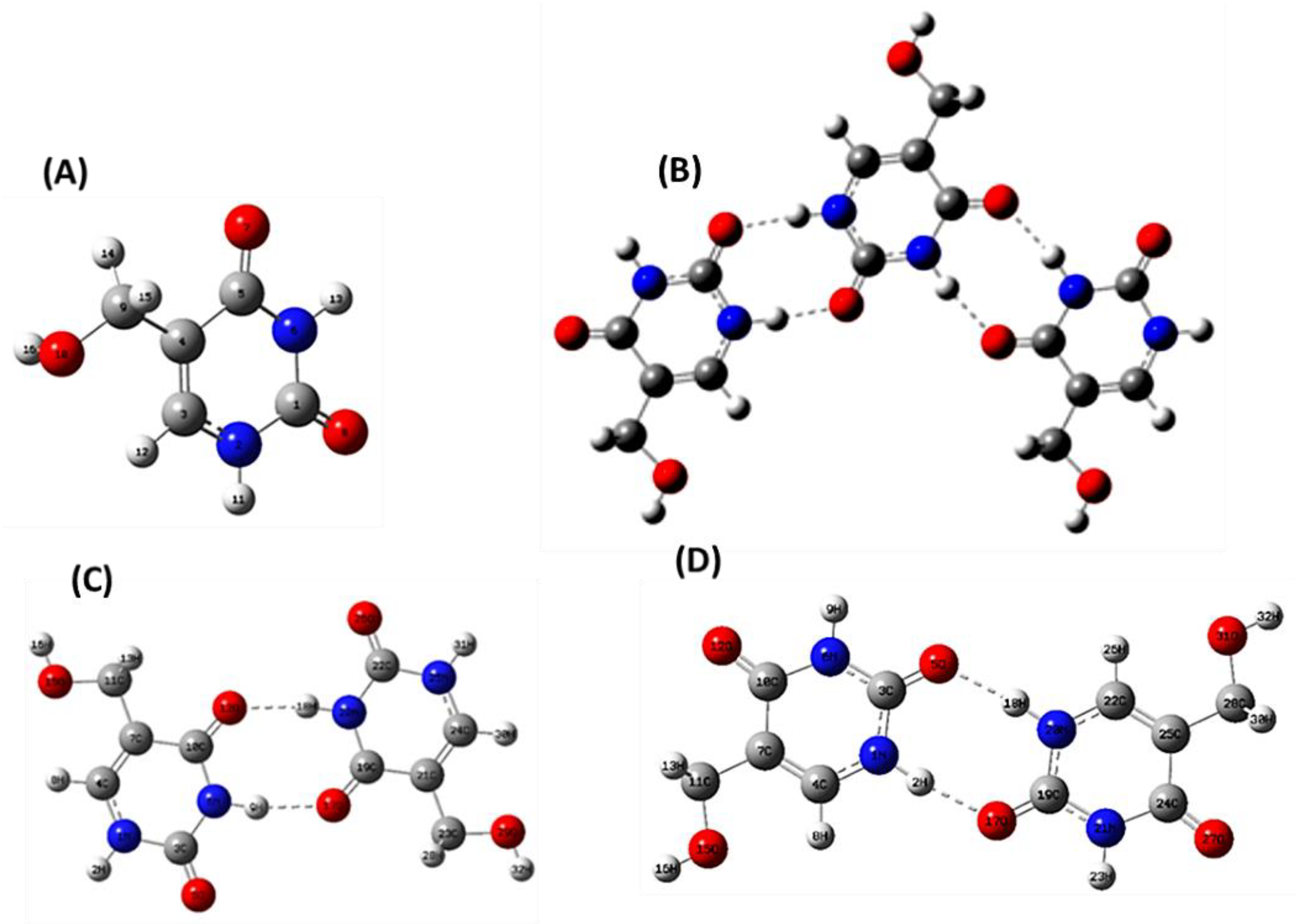 Molecules 28 02116 g001