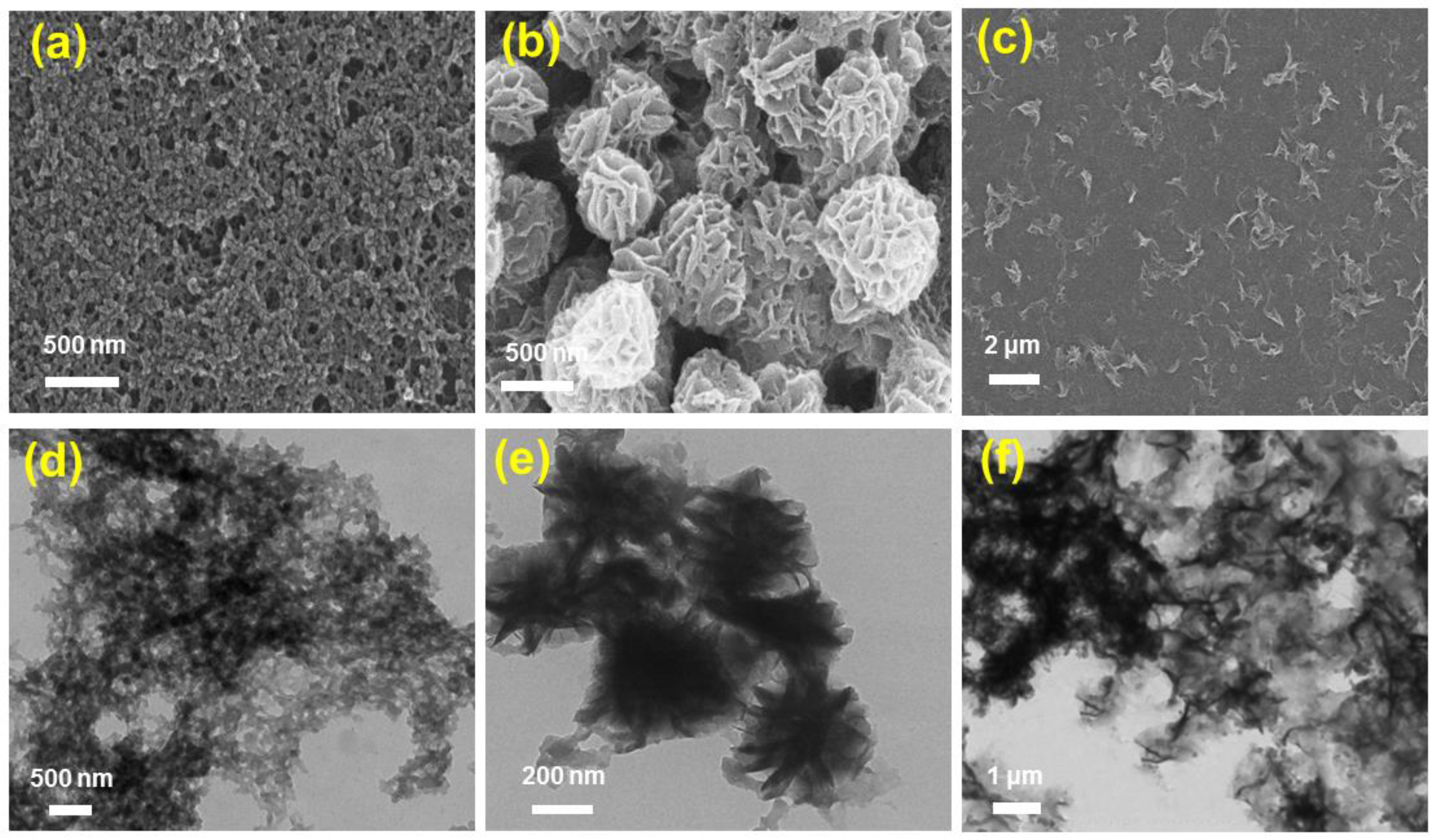 Molecules 28 02125 g002