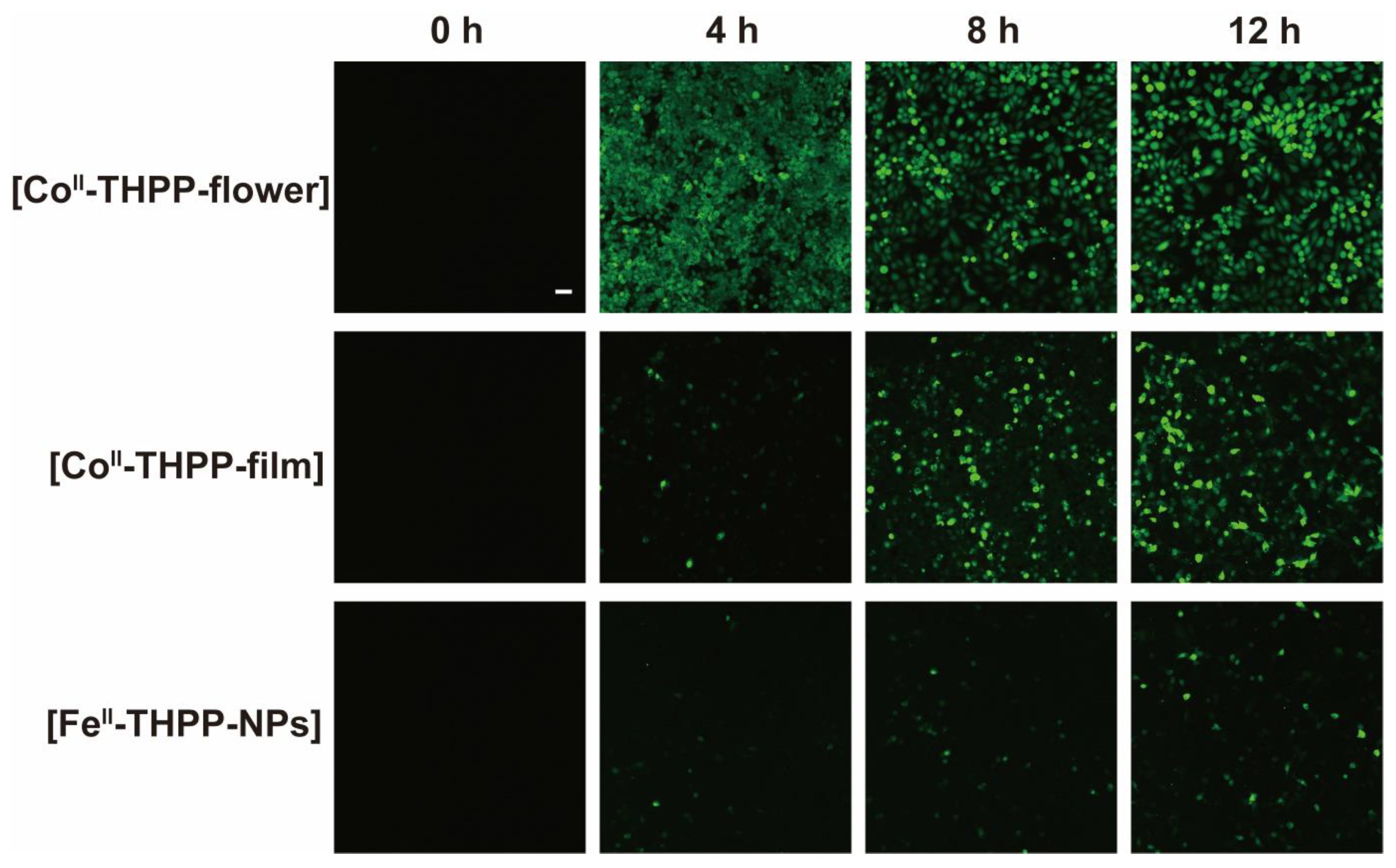 Molecules 28 02125 g009