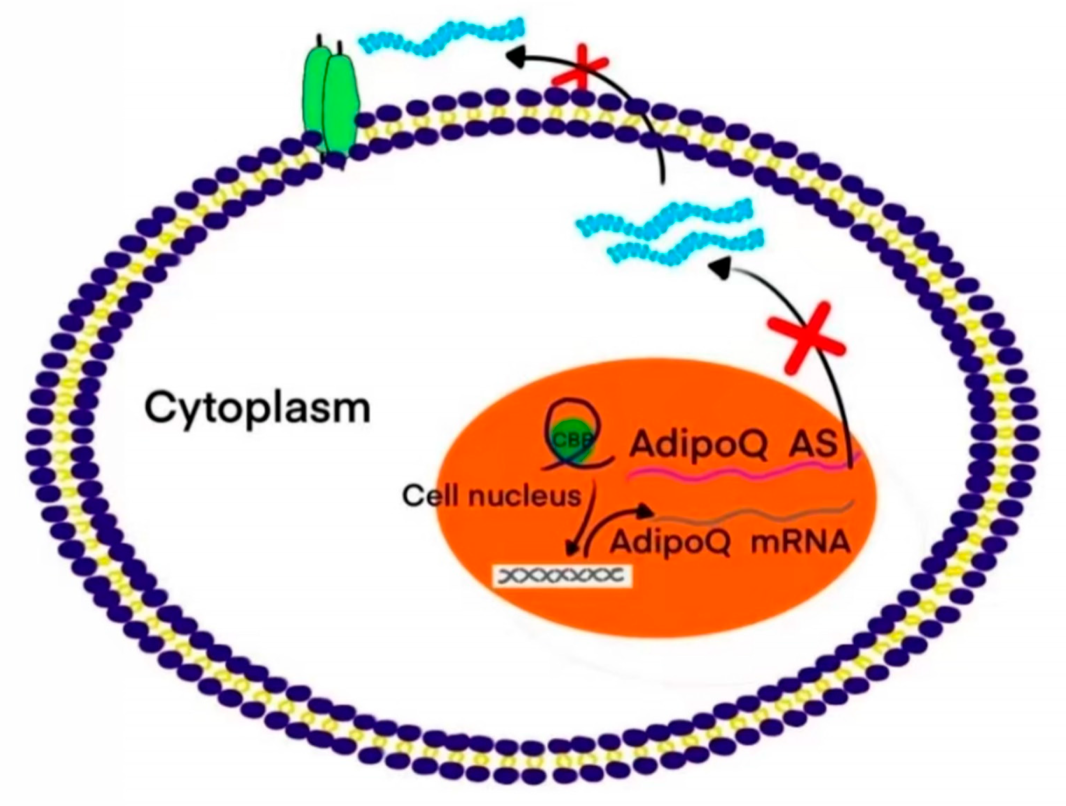 Molecules 28 02126 g001