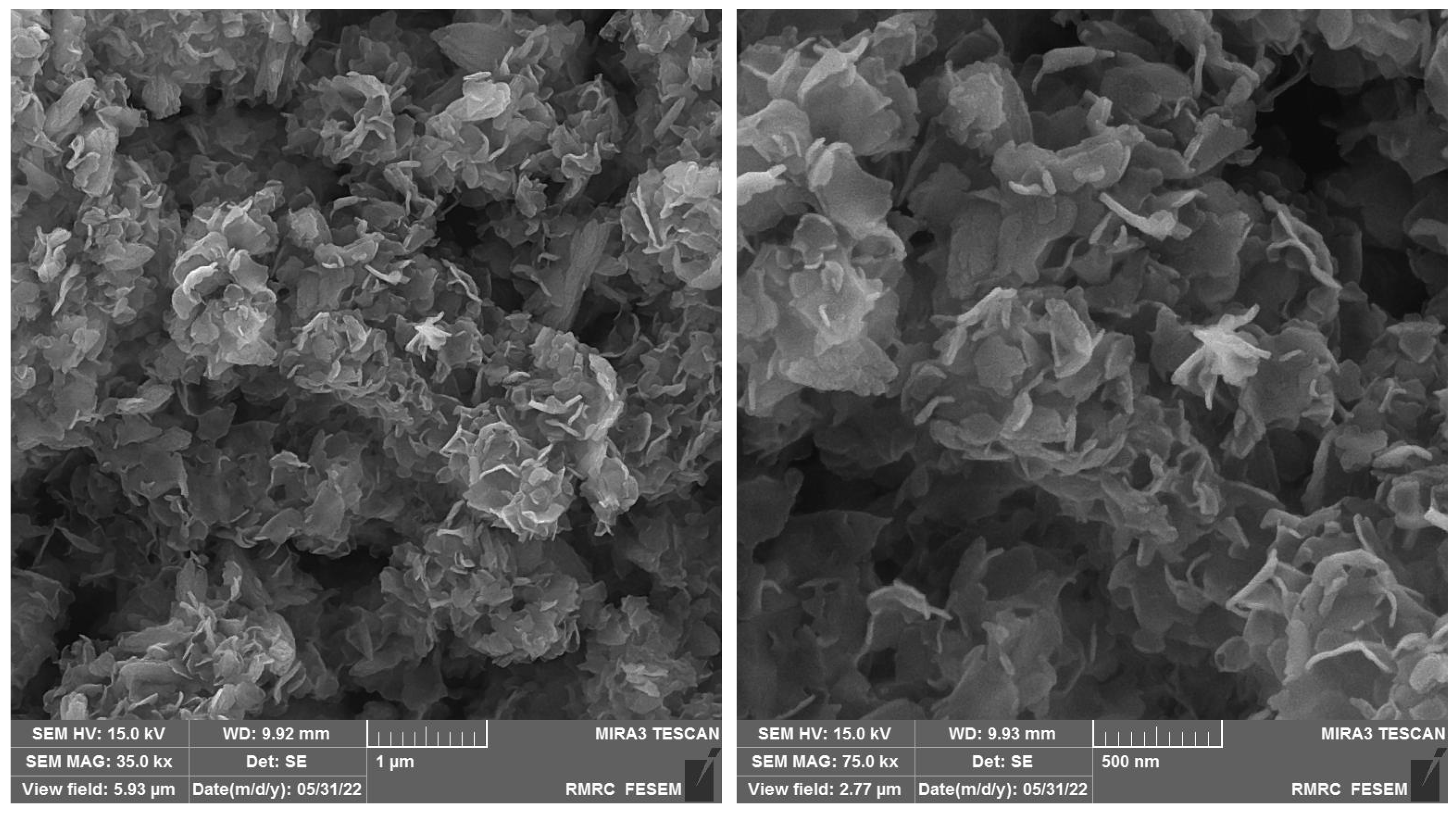 Molecules 28 02128 g001 Molecules 28 02128 g001