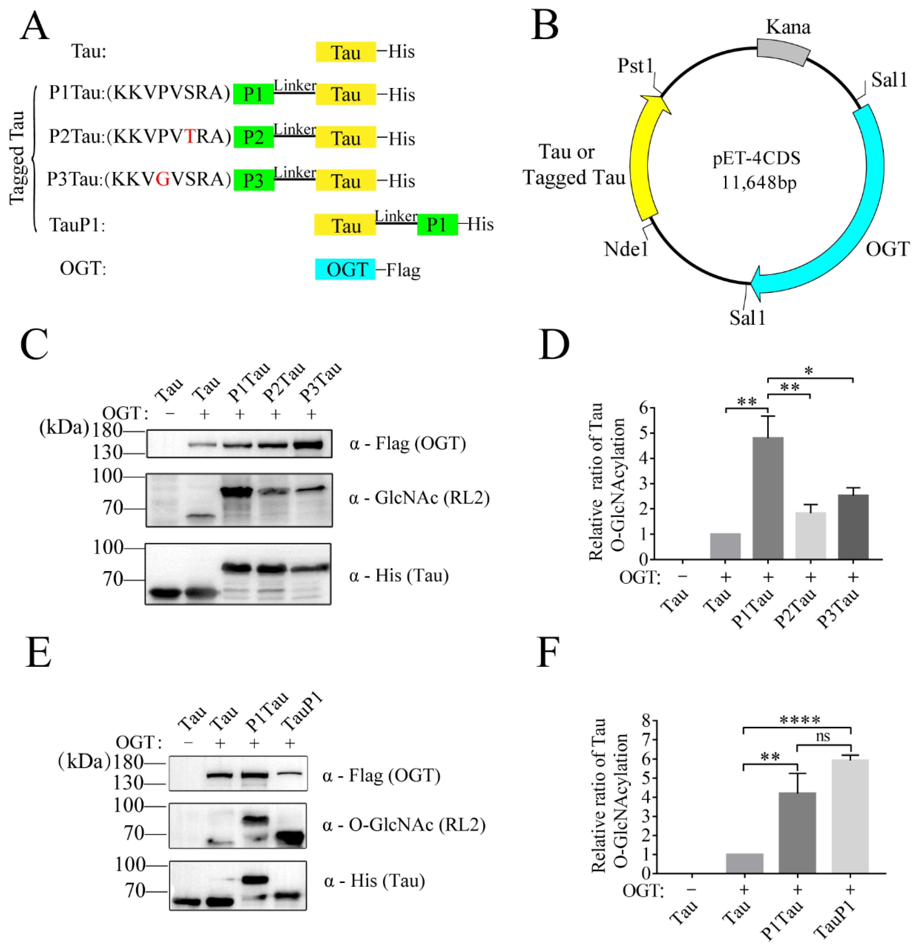 Molecules 28 02129 g001