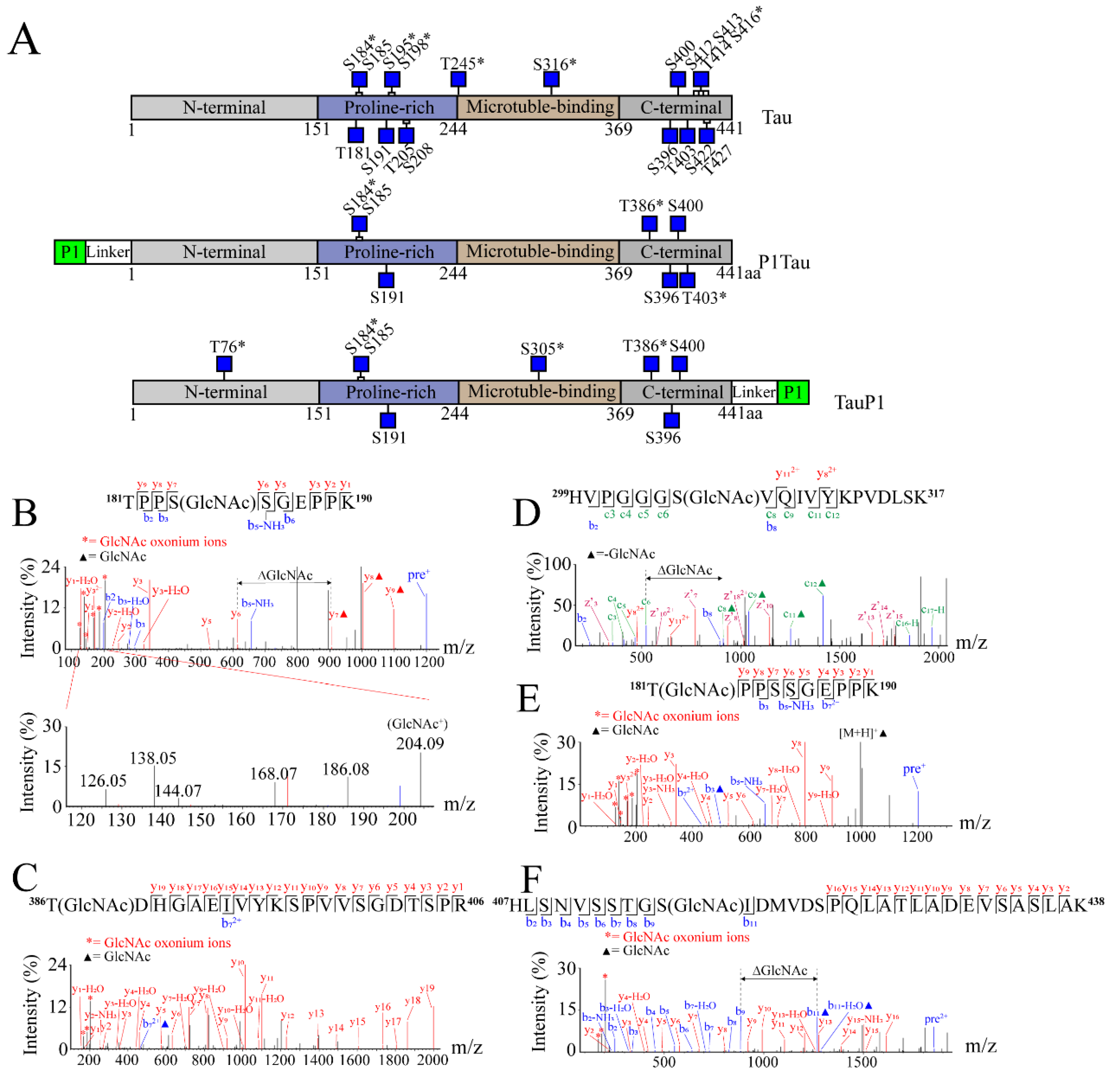 Molecules 28 02129 g002