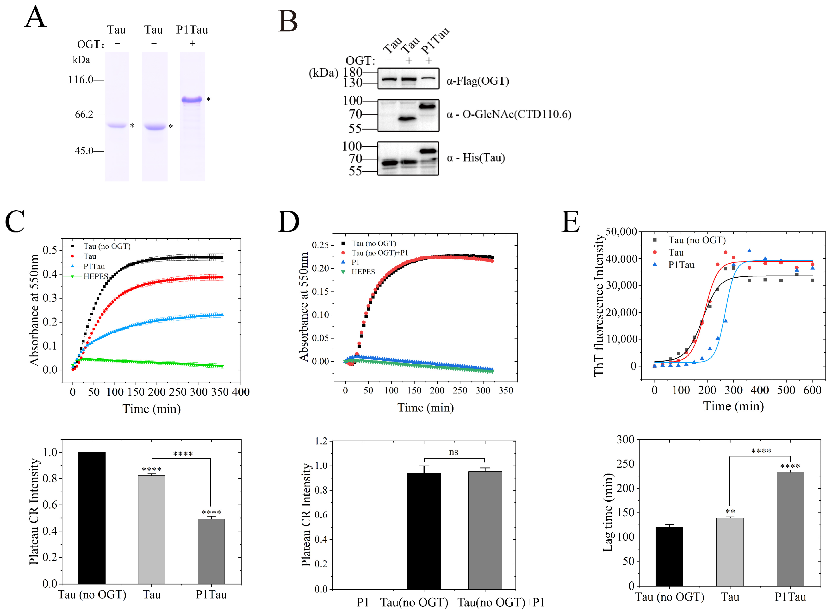 Molecules 28 02129 g003