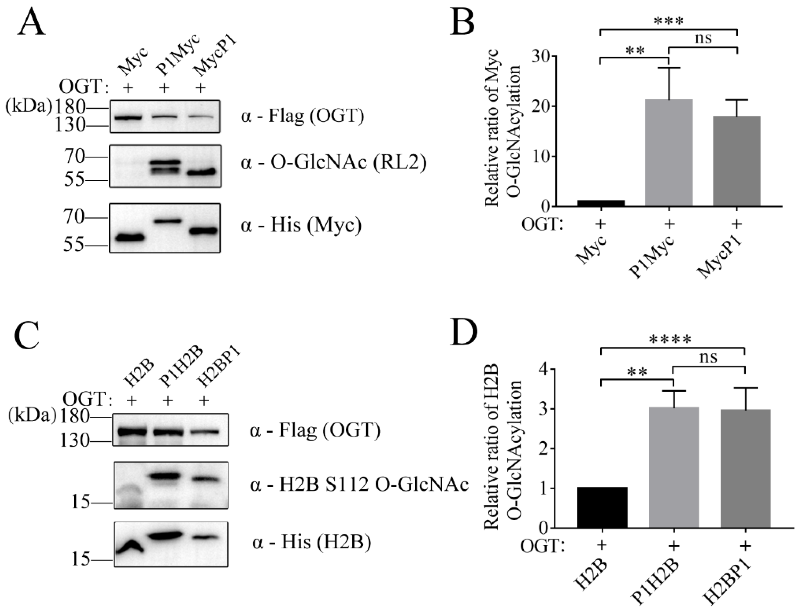 Molecules 28 02129 g004