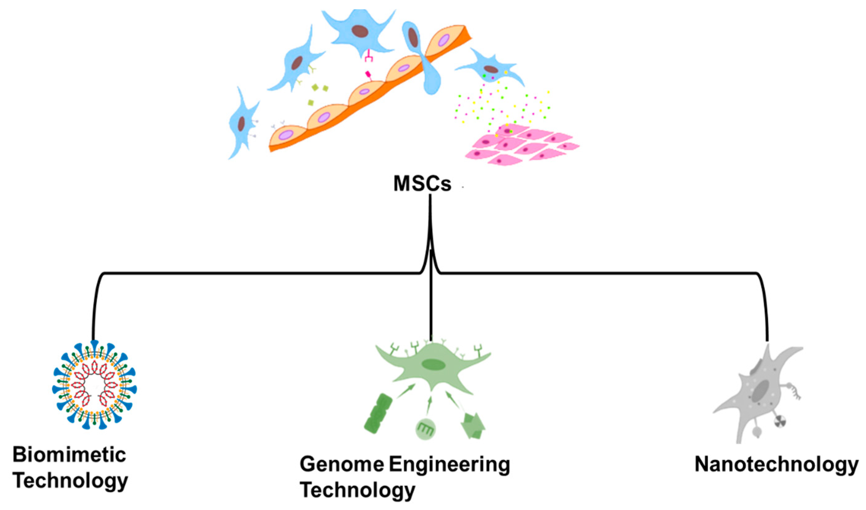 Molecules 28 02130 g001 Molecules 28 02130 g001
