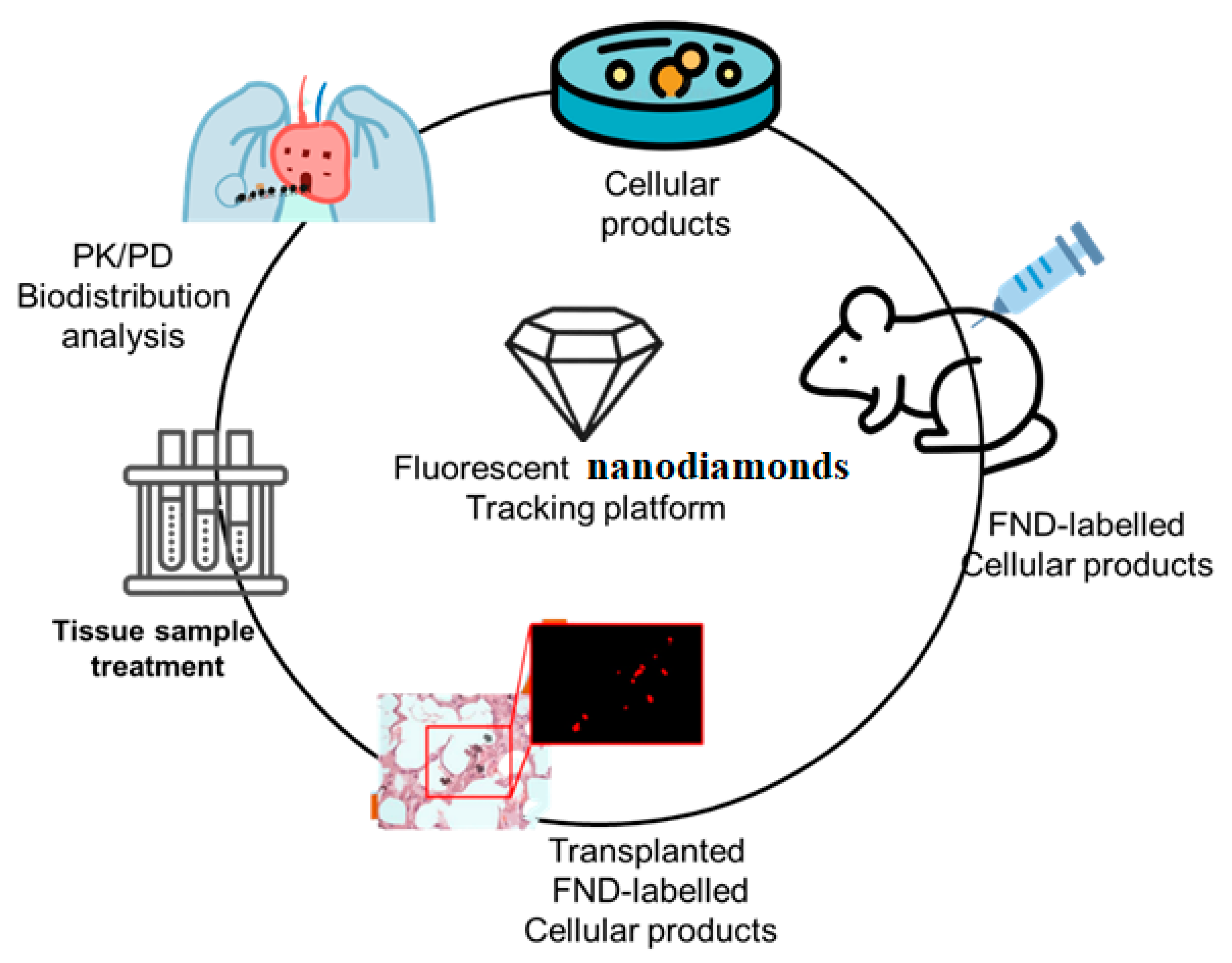 Molecules 28 02130 g002 Molecules 28 02130 g002