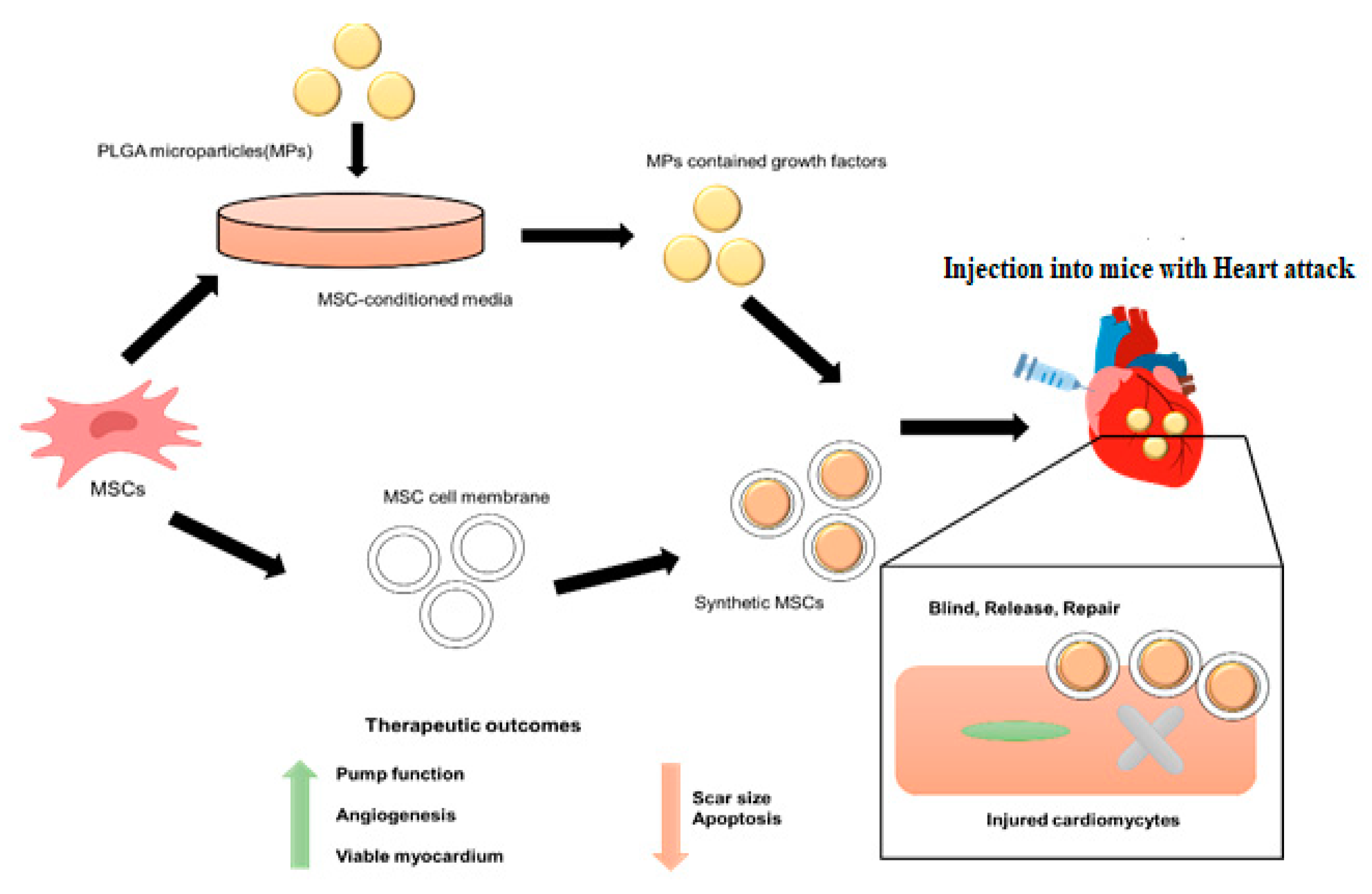 Molecules 28 02130 g006 Molecules 28 02130 g006