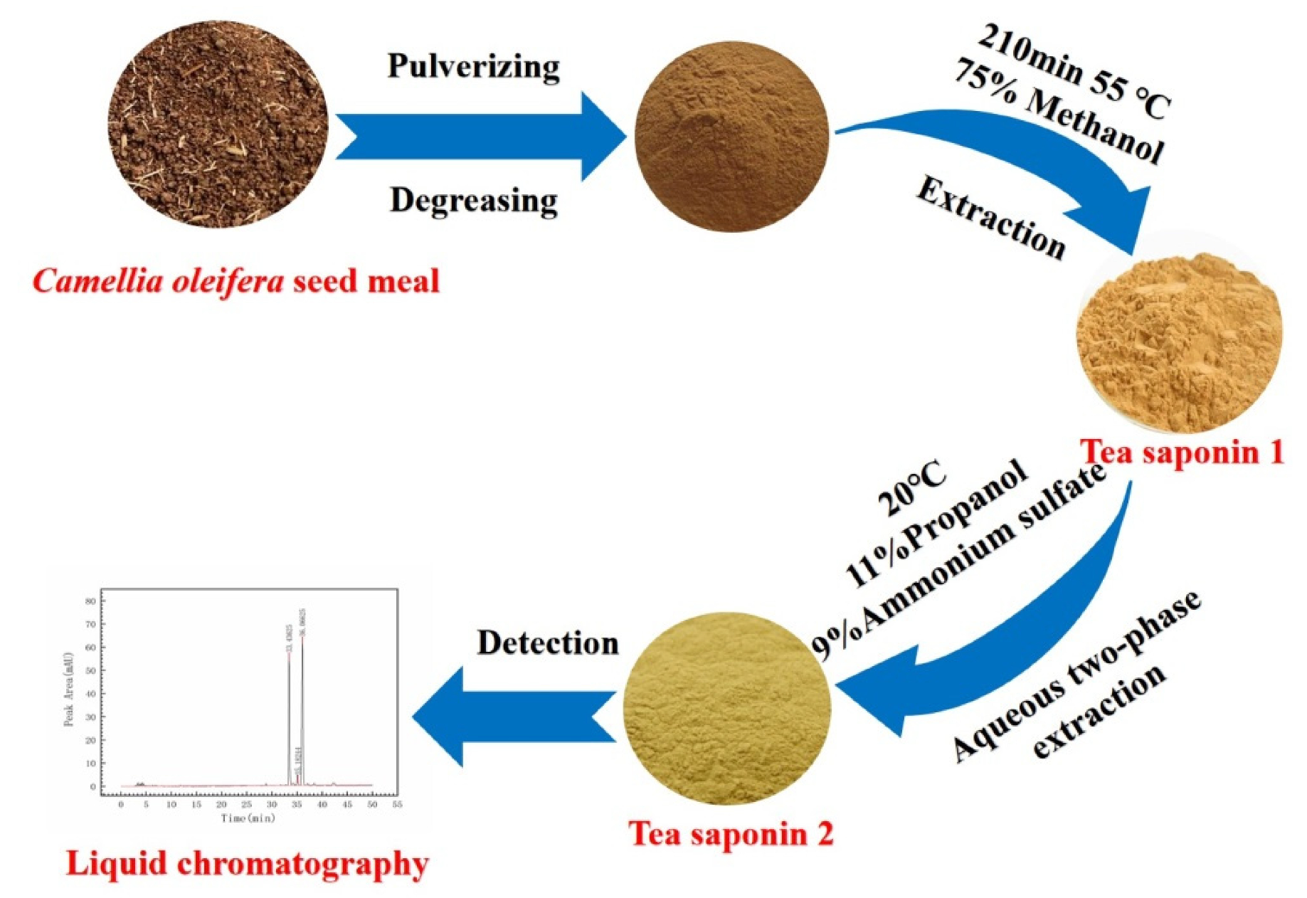 Molecules 28 02132 g012