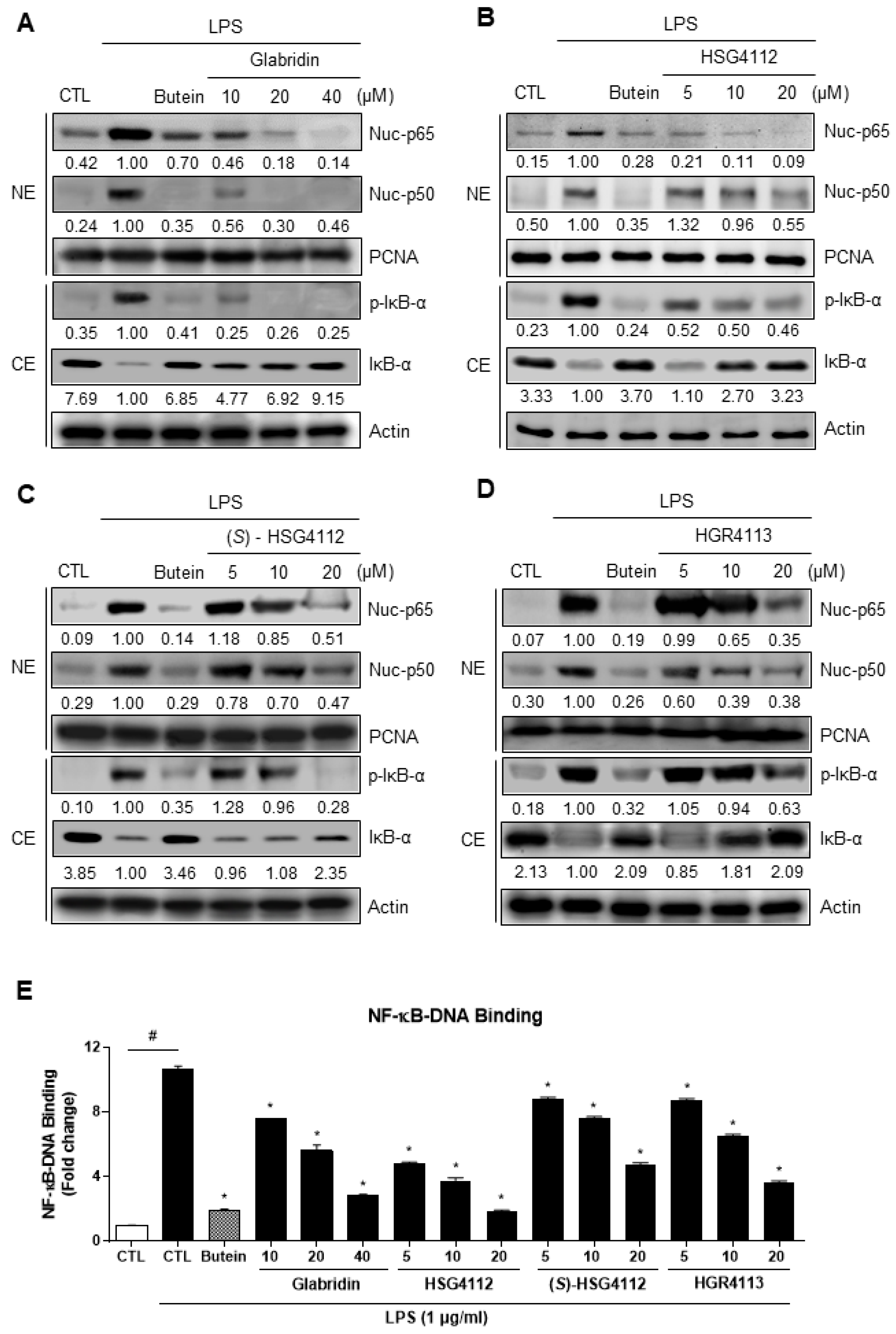 Molecules 28 02135 g004