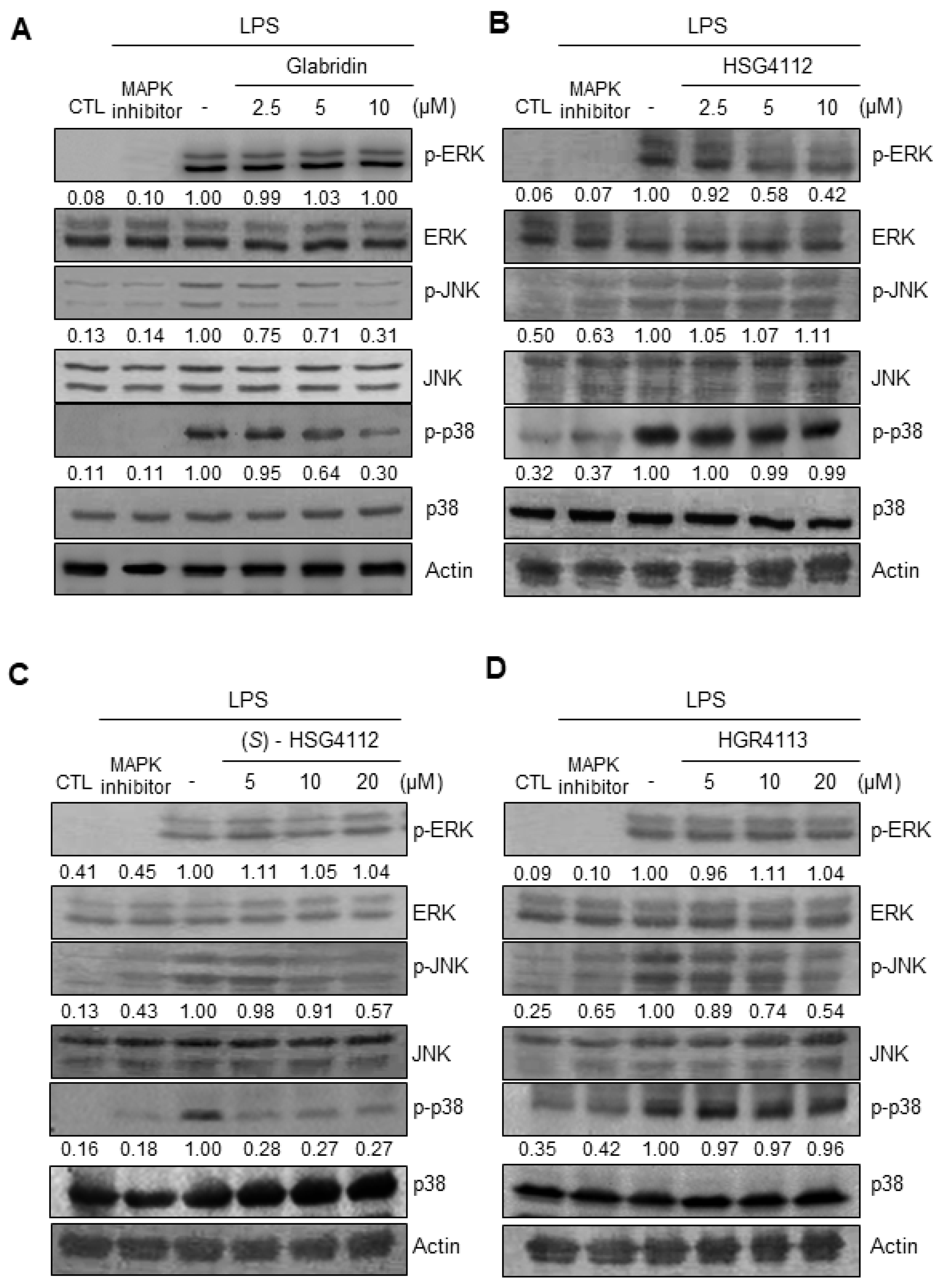 Molecules 28 02135 g005