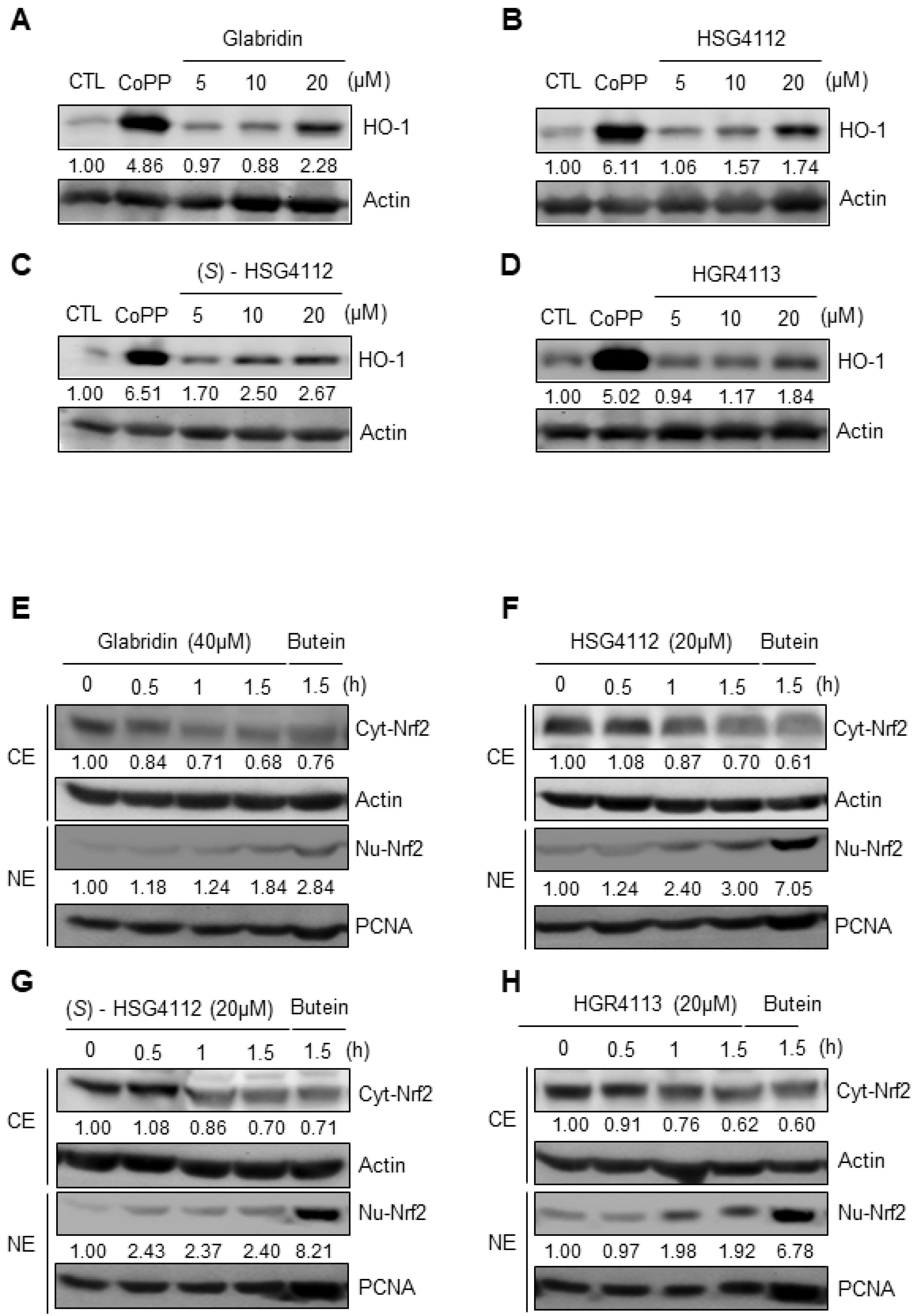 Molecules 28 02135 g006