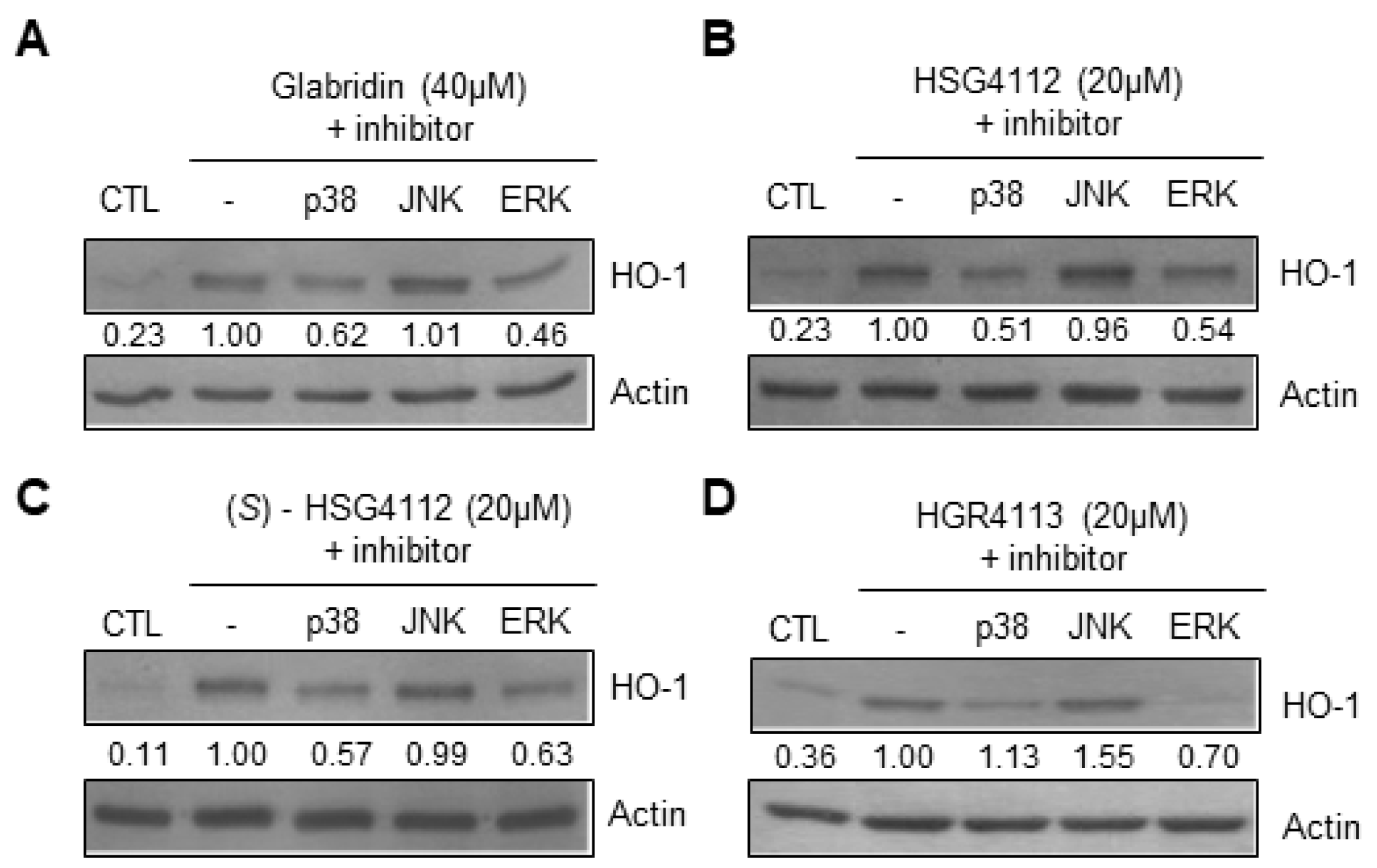 Molecules 28 02135 g007
