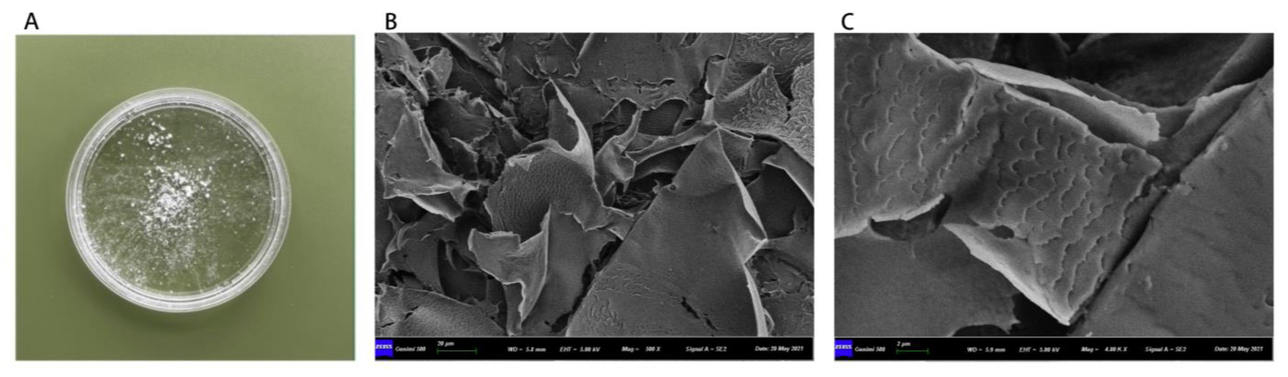 Molecules 28 02140 g002