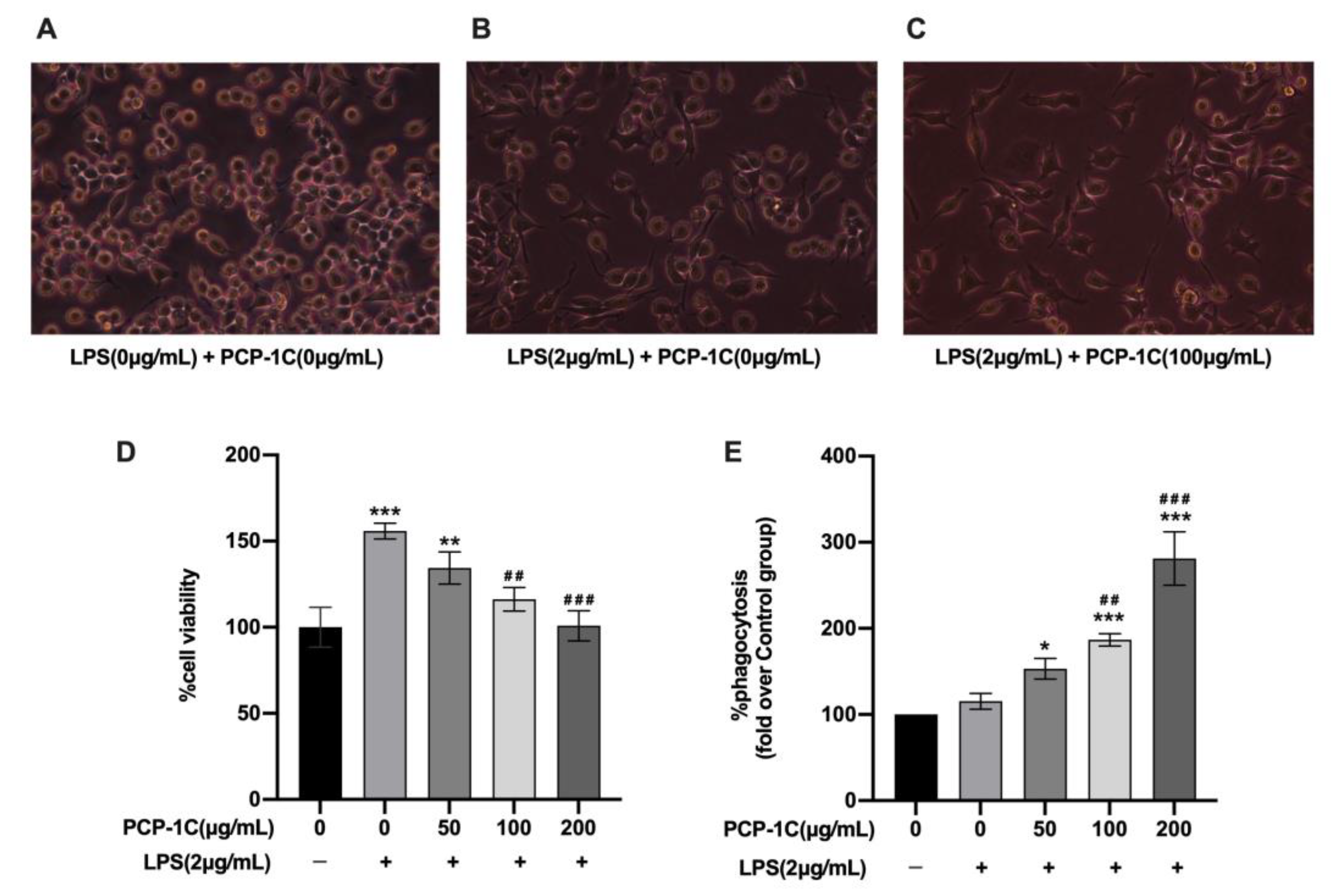 Molecules 28 02140 g004