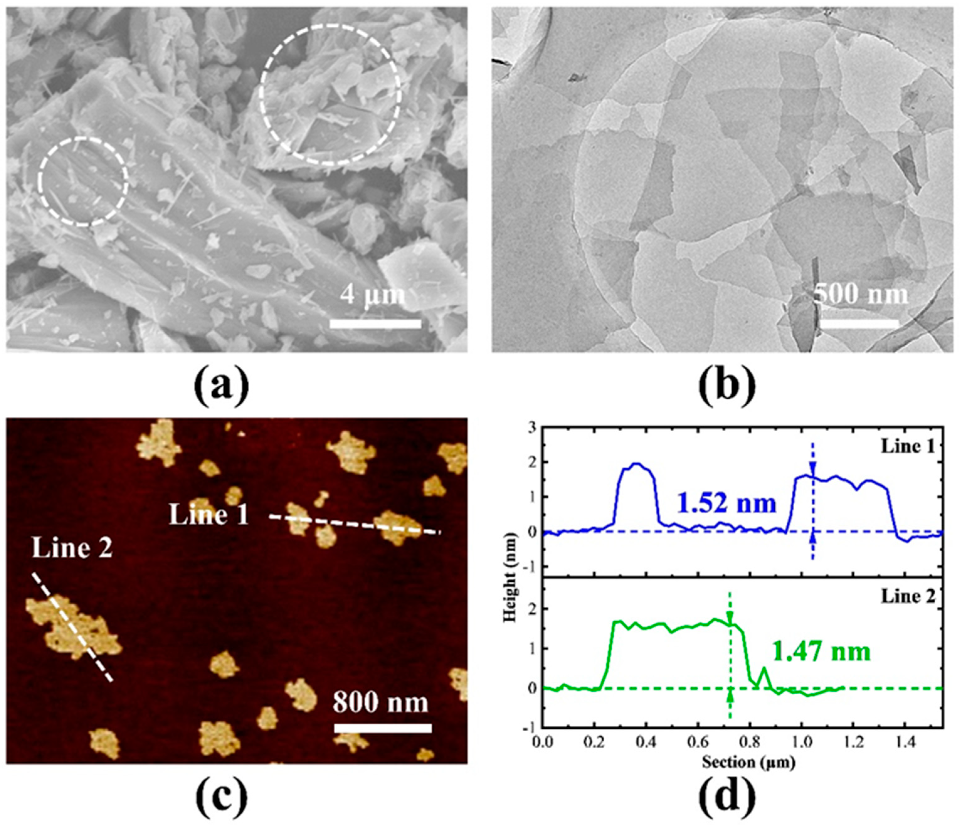 Molecules 28 02143 g001