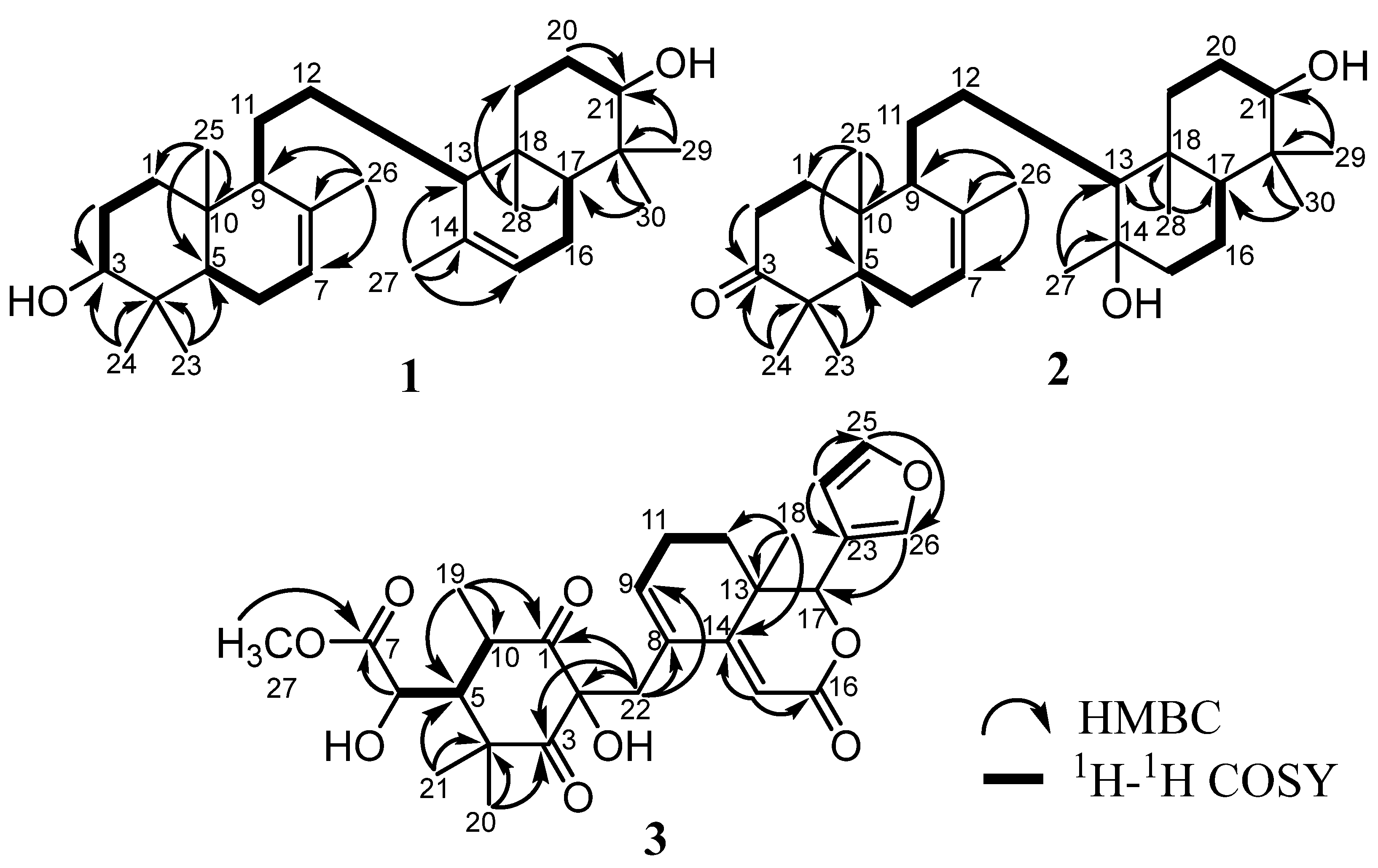 Molecules 28 02144 g002