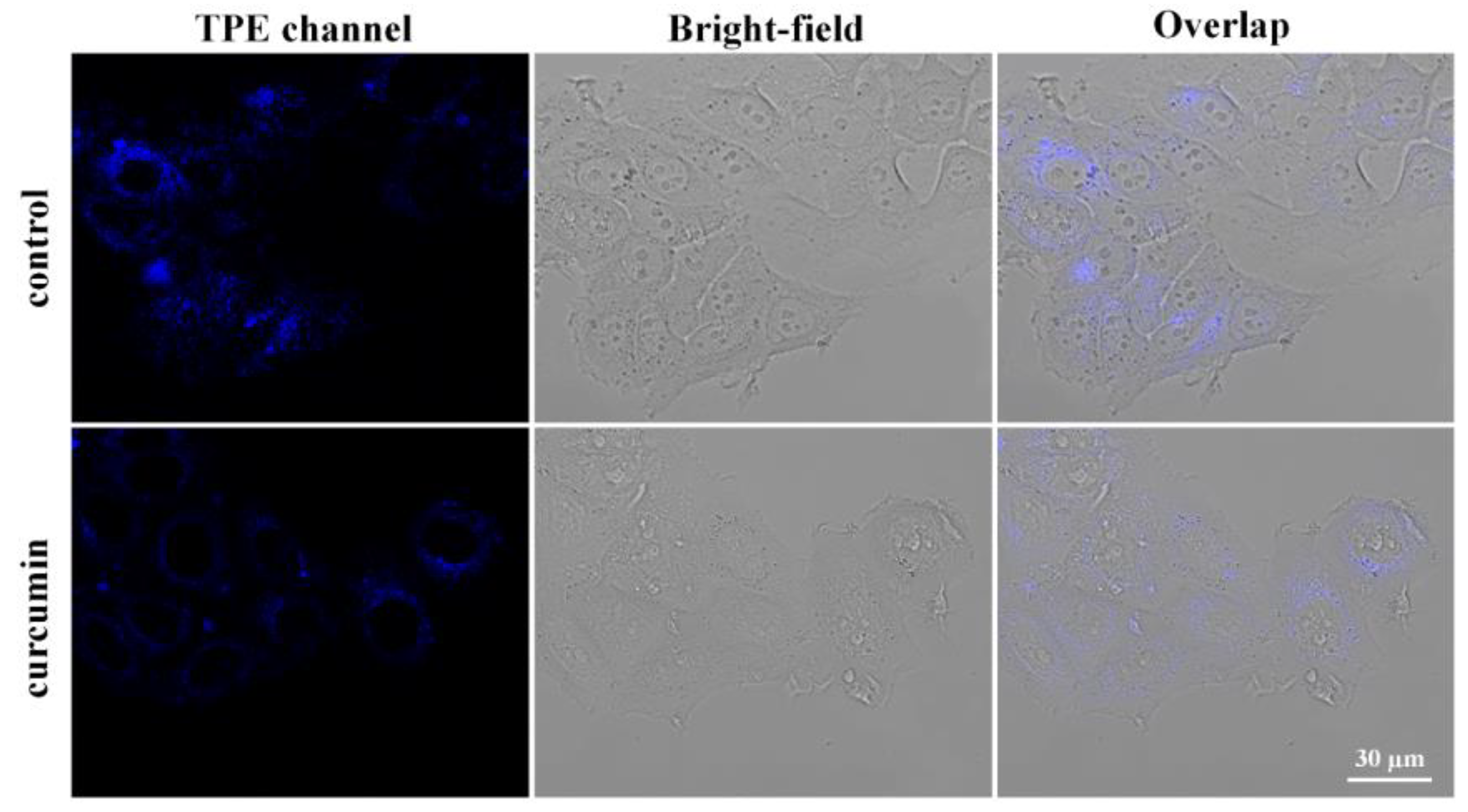 Molecules 28 02149 g007