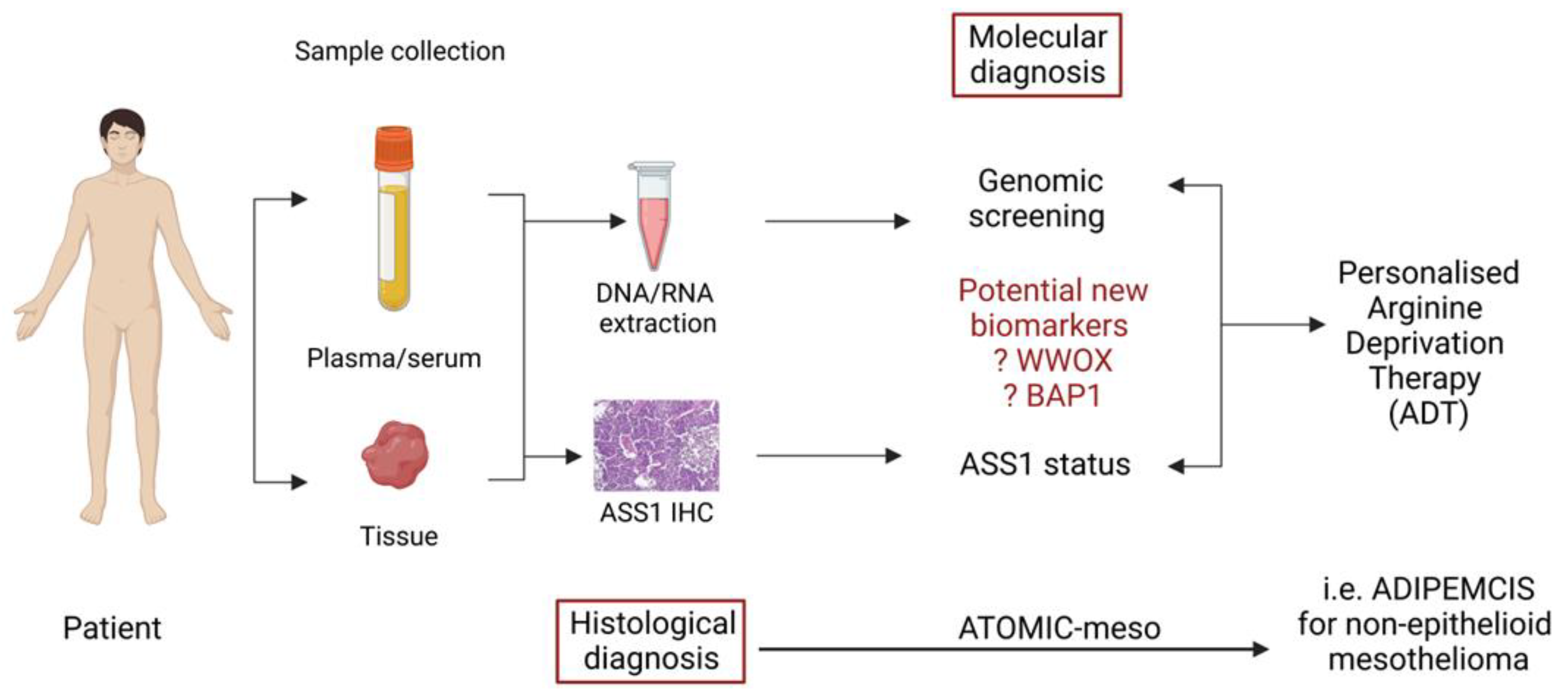 Molecules 28 02150 g004