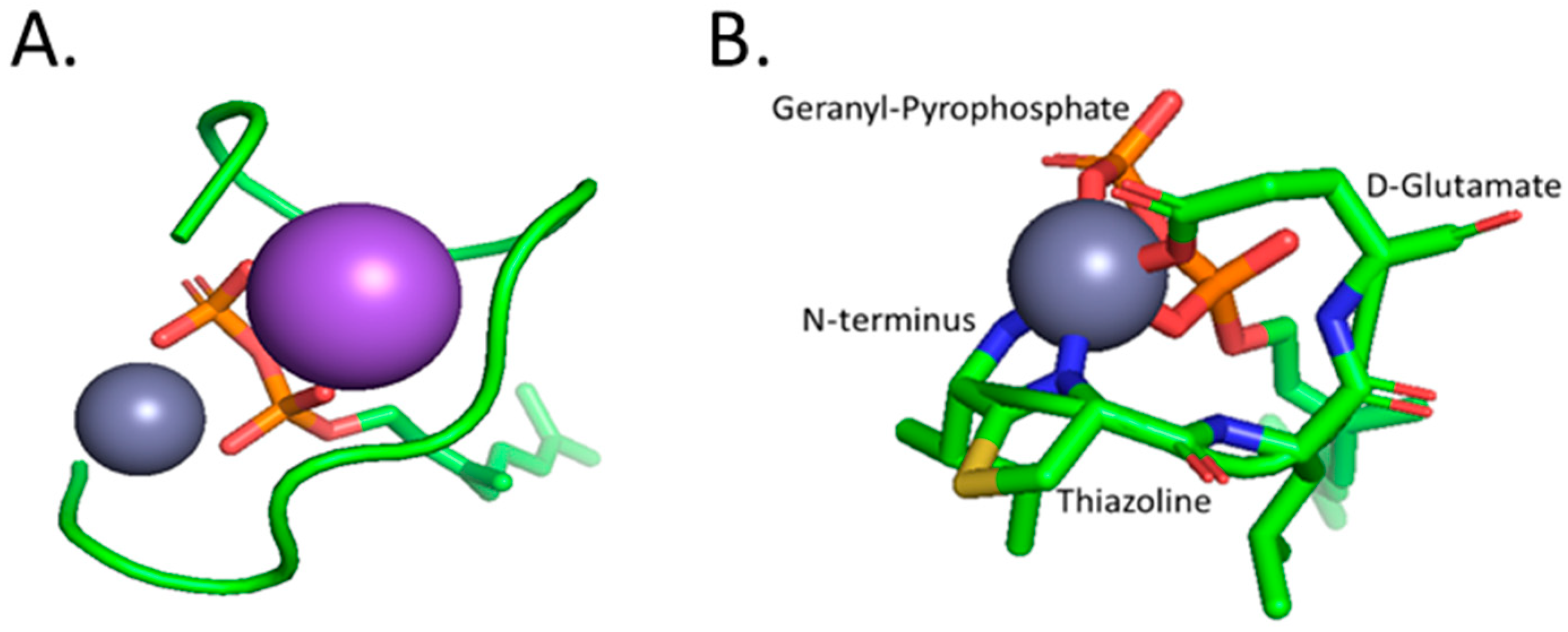 Molecules 28 02156 g003 Molecules 28 02156 g003