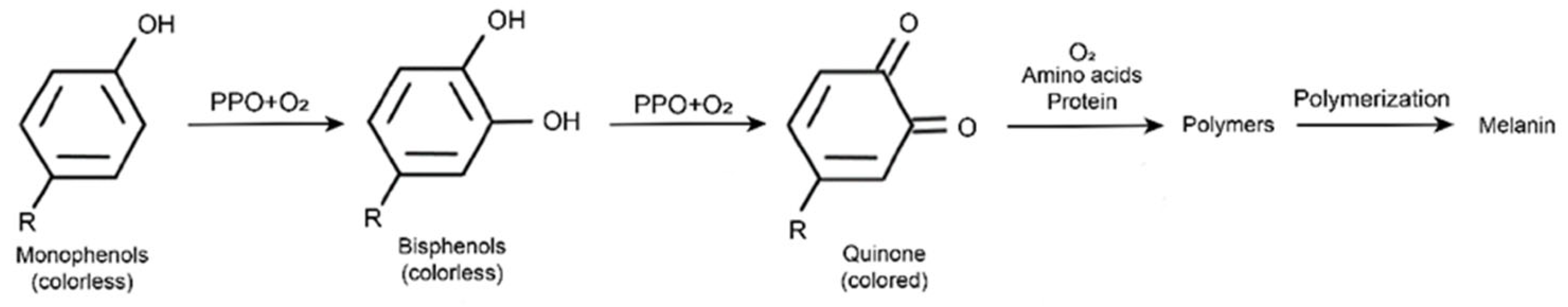 Molecules 28 02158 g001 Molecules 28 02158 g001