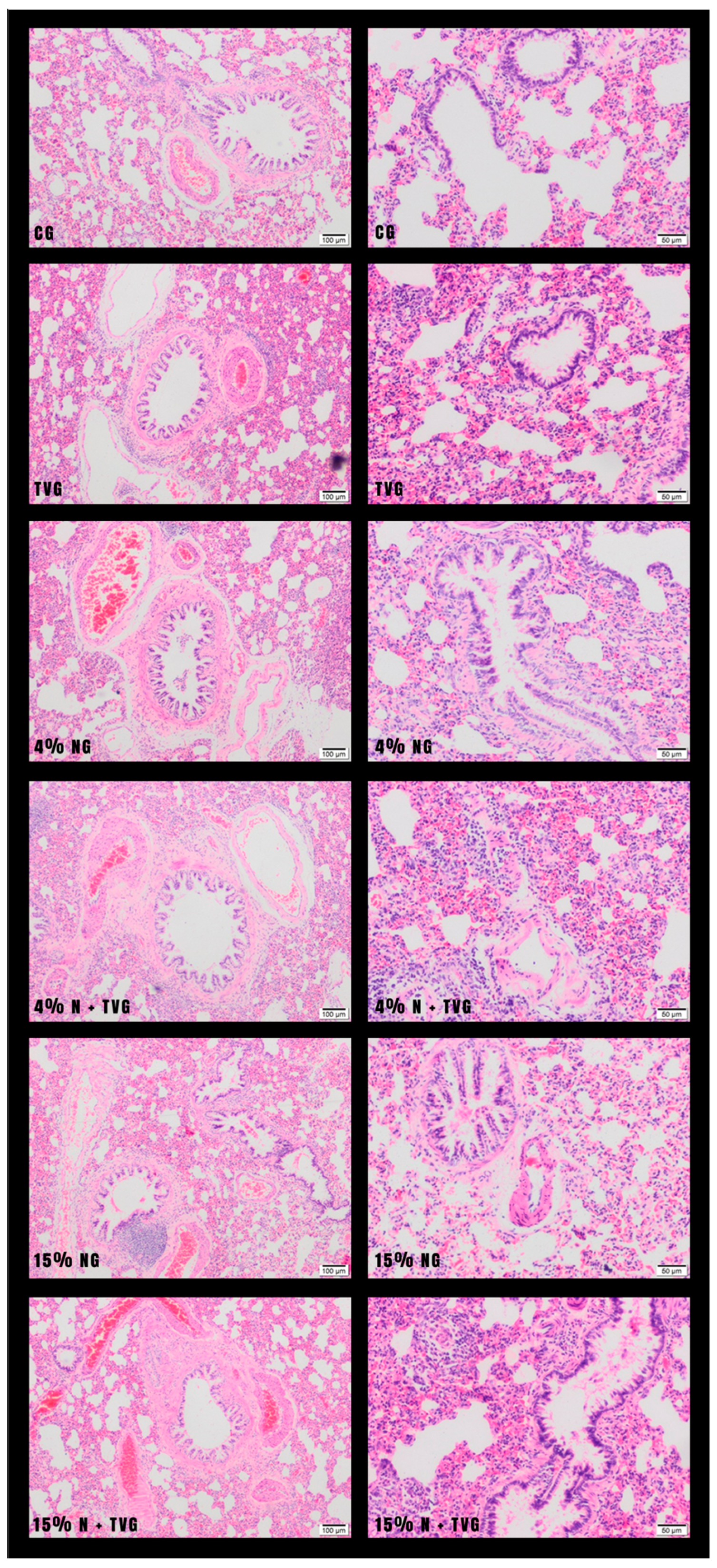 Molecules 28 02164 g001 Molecules 28 02164 g001