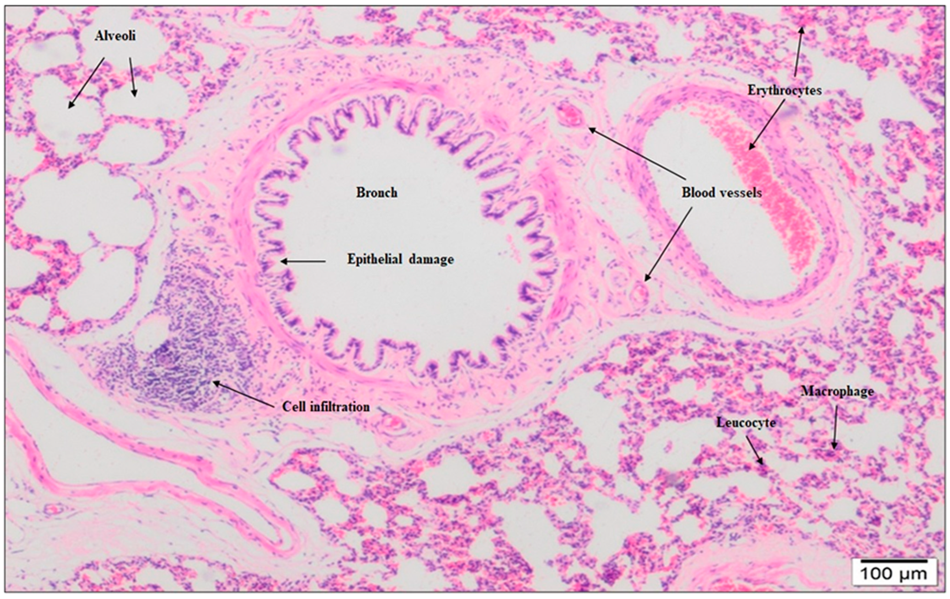 Molecules 28 02164 g002 Molecules 28 02164 g002