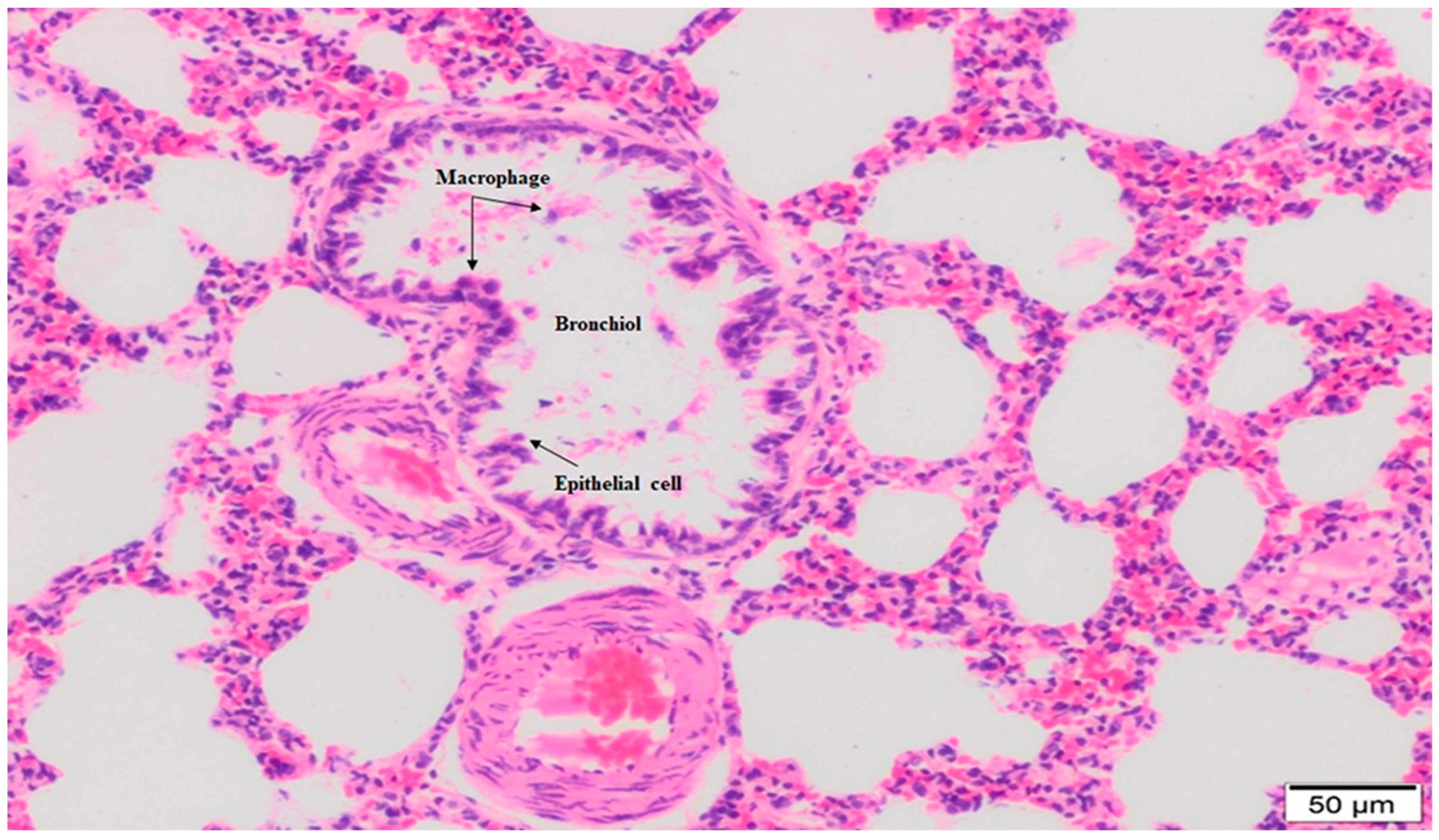 Molecules 28 02164 g003 Molecules 28 02164 g003