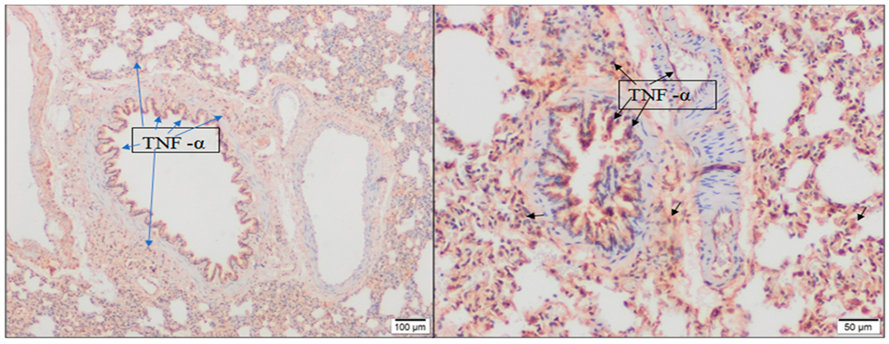 Molecules 28 02164 g005 Molecules 28 02164 g005