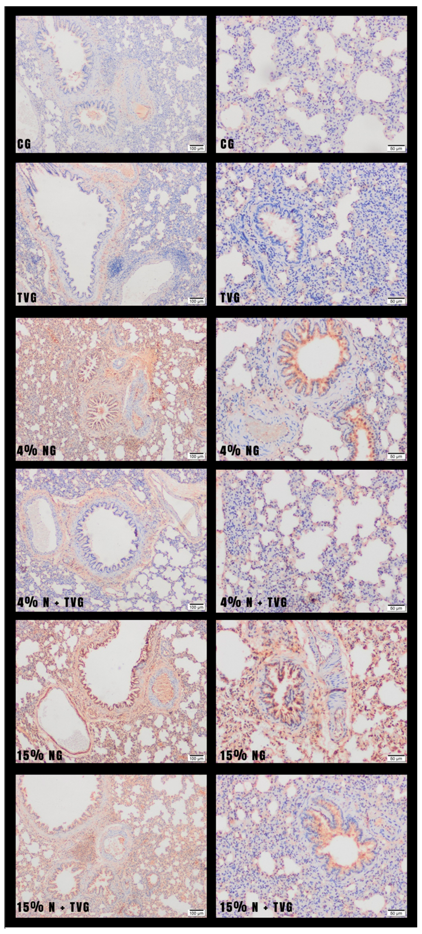 Molecules 28 02164 g006 Molecules 28 02164 g006