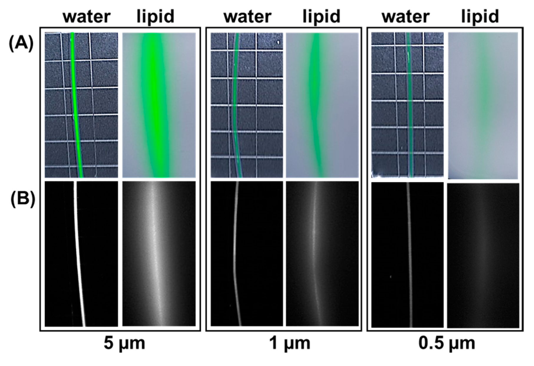 Molecules 28 02167 g004 Molecules 28 02167 g004