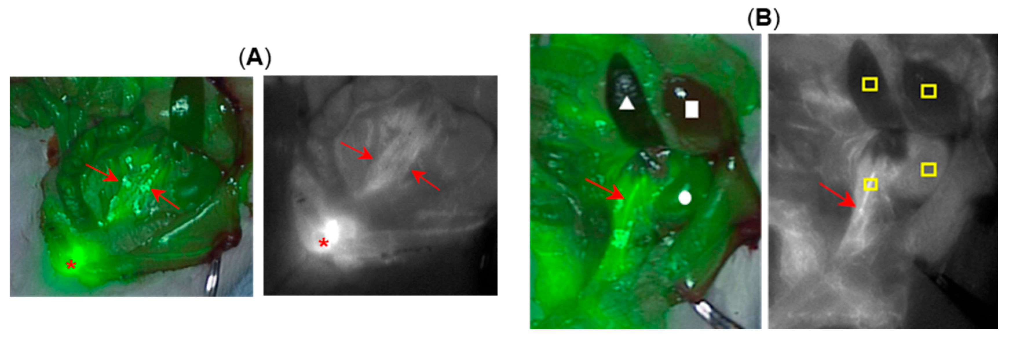 Molecules 28 02167 g006 Molecules 28 02167 g006