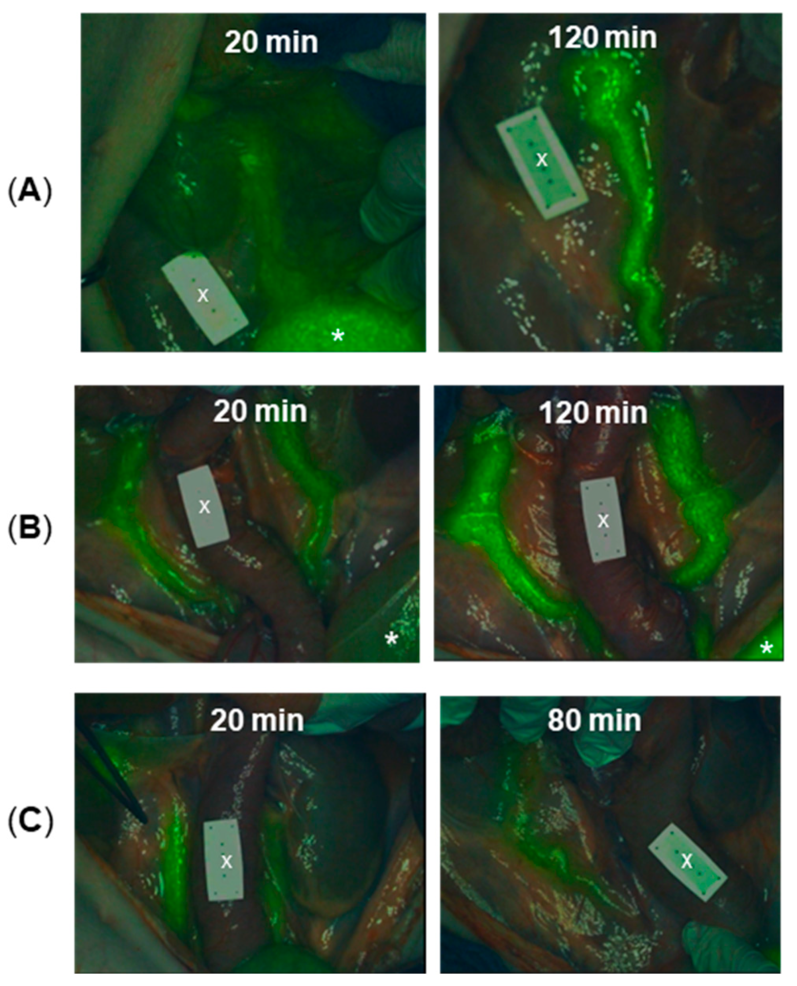 Molecules 28 02167 g008 Molecules 28 02167 g008