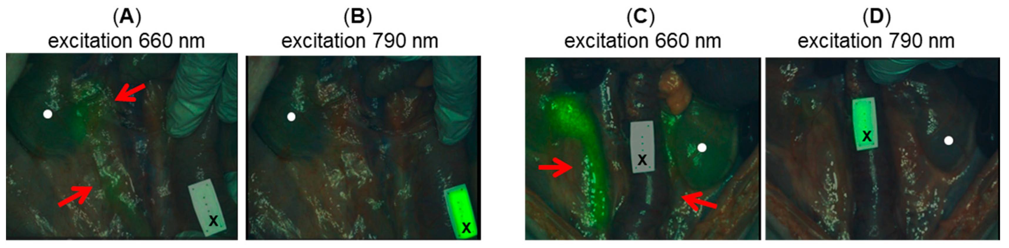 Molecules 28 02167 g009 Molecules 28 02167 g009