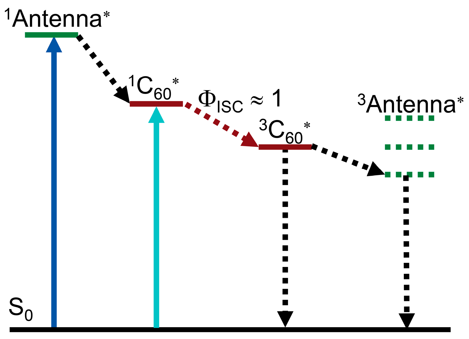 Molecules 28 02170 g012 Molecules 28 02170 g012