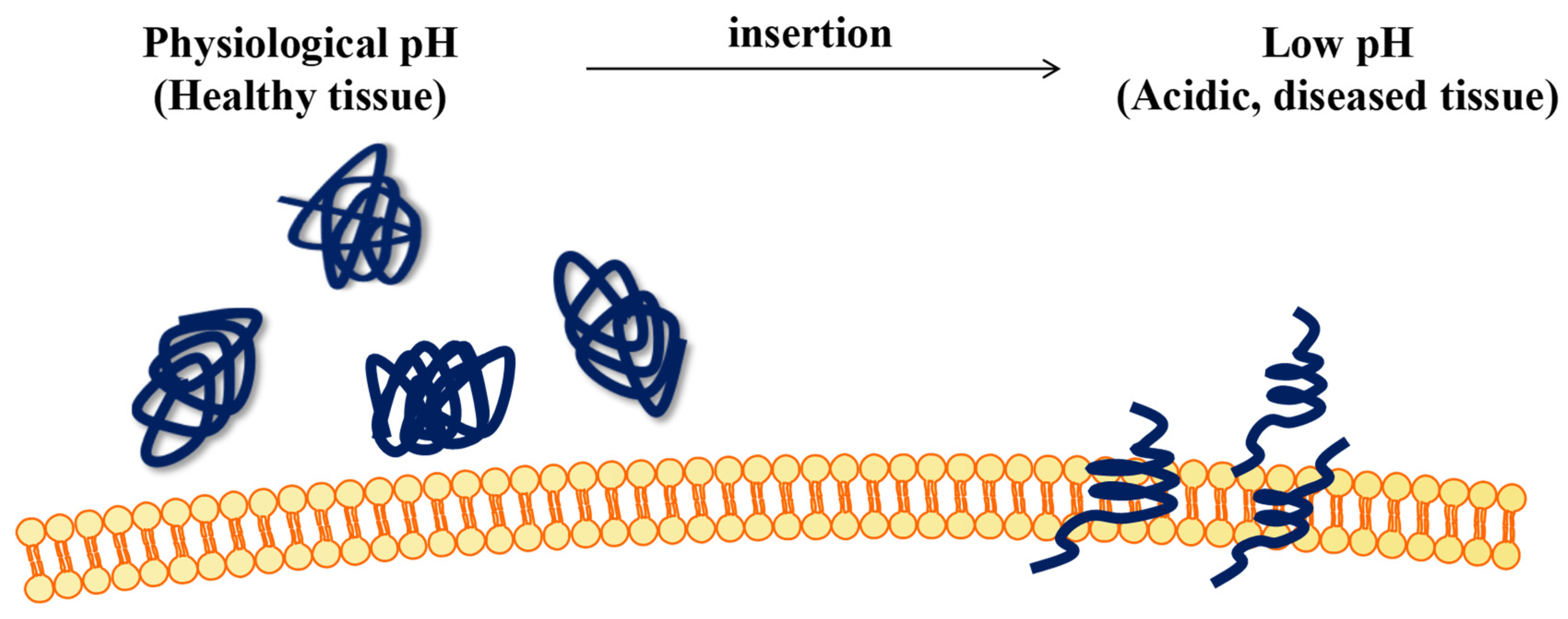 Molecules 28 02175 g001