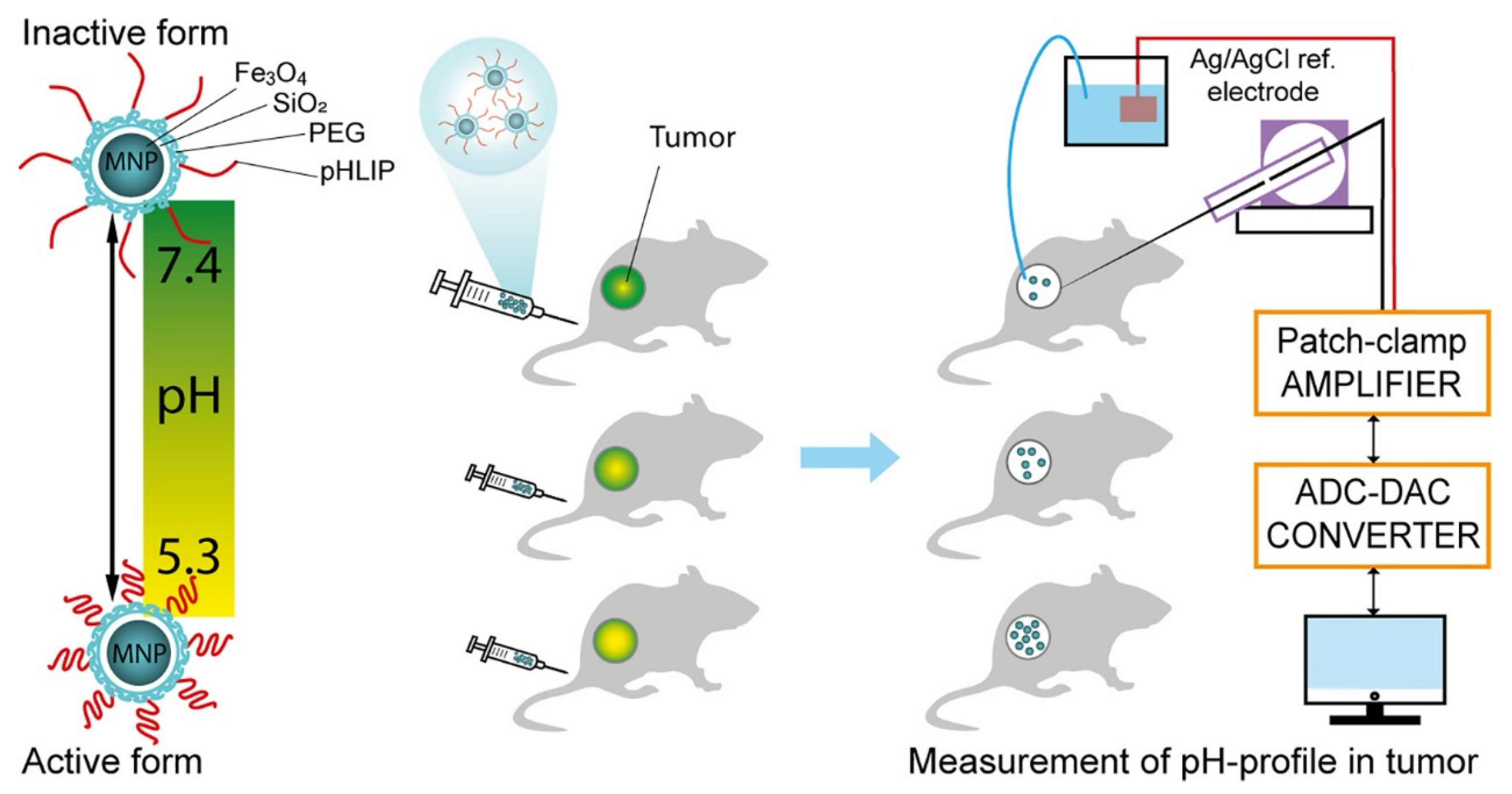 Molecules 28 02175 g003